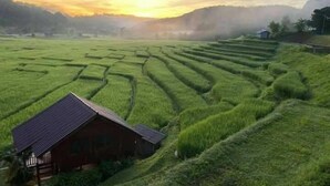 Un campo de arroz en terrazas con una cabaña de madera.