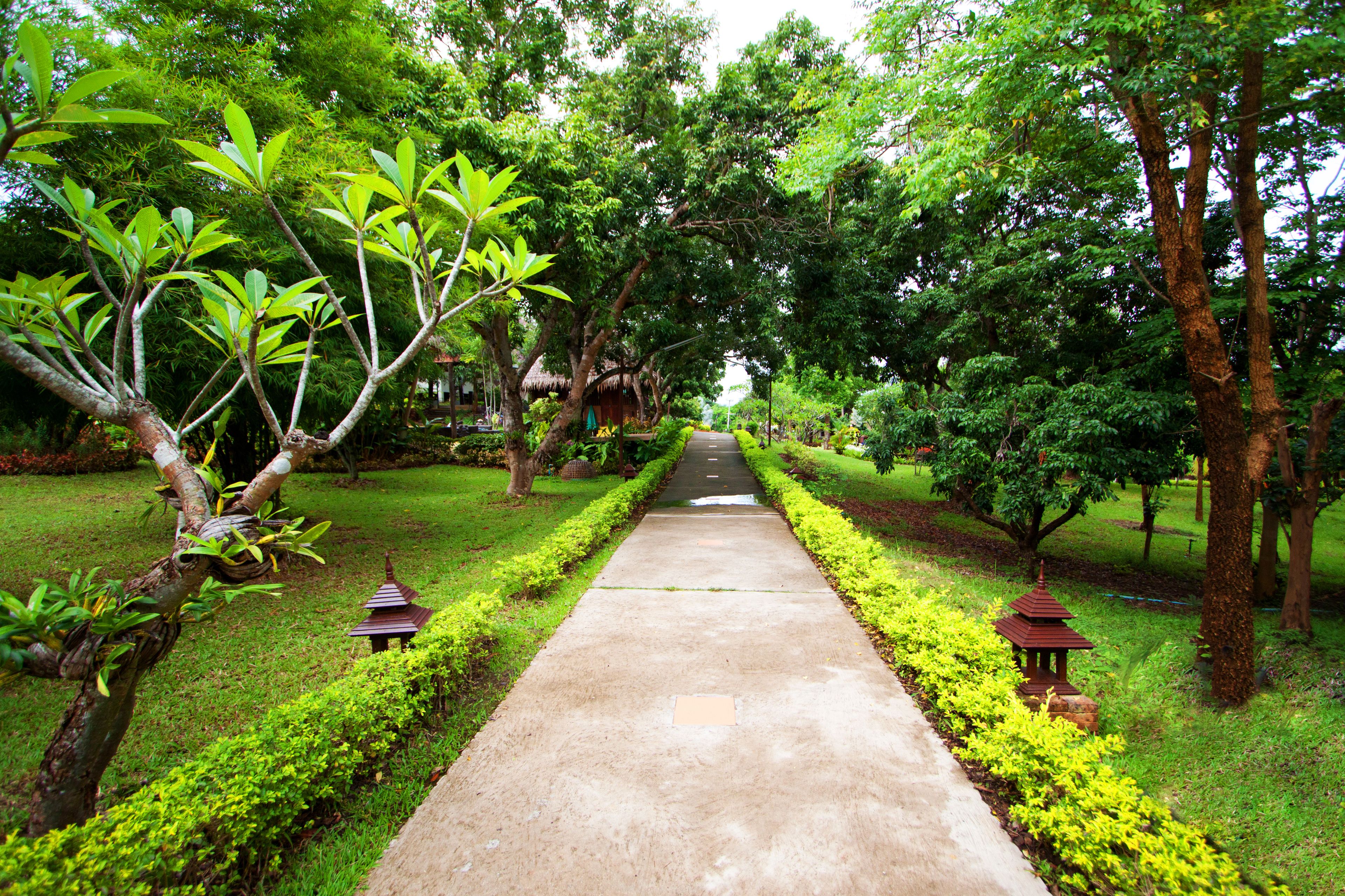 A pathway flanked by neatly trimmed hedges and trees, leading towards a traditional thatched-roof structure.