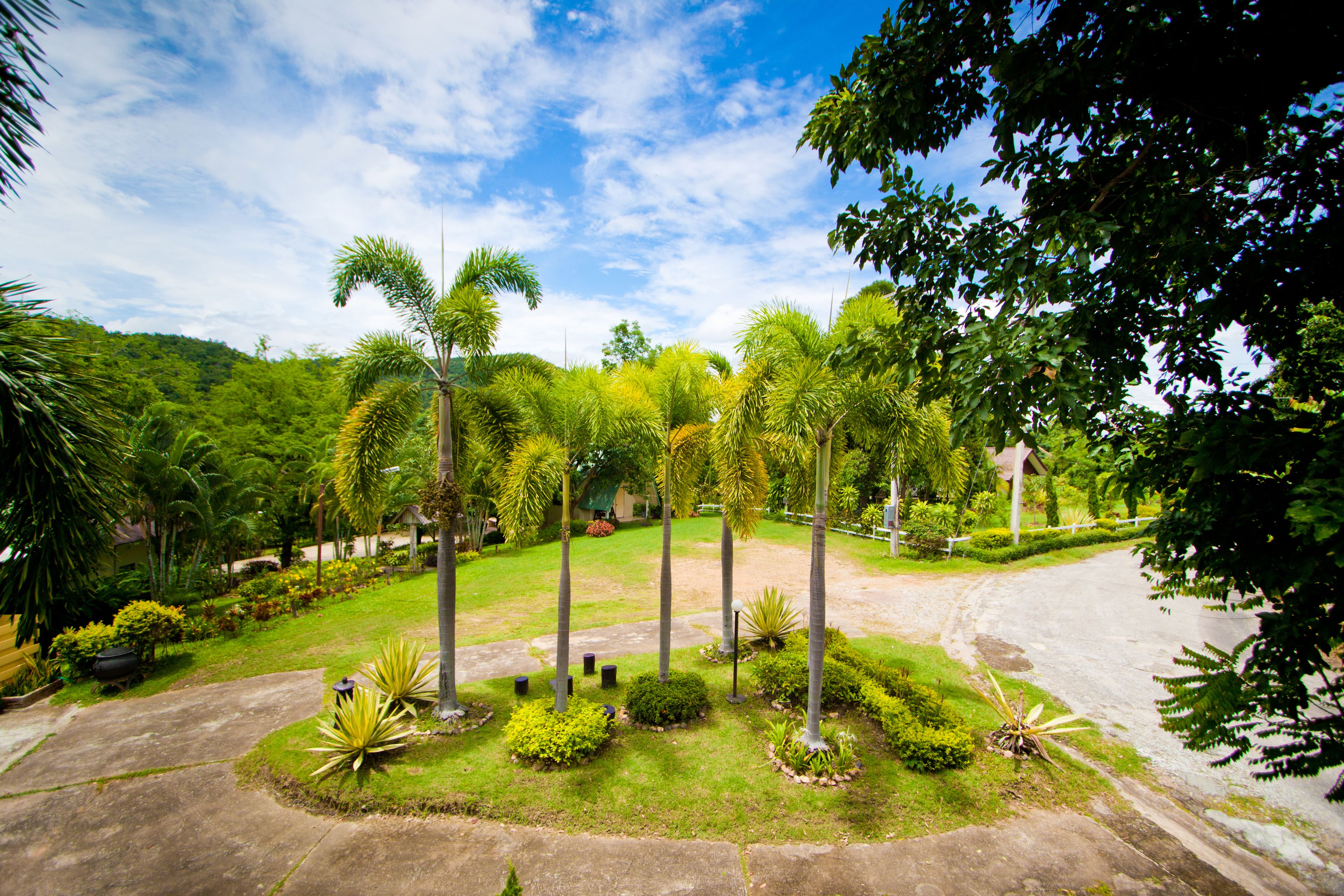 Vista desde la propiedad