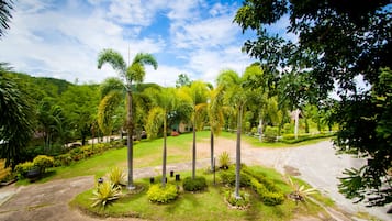 Vista desde la propiedad