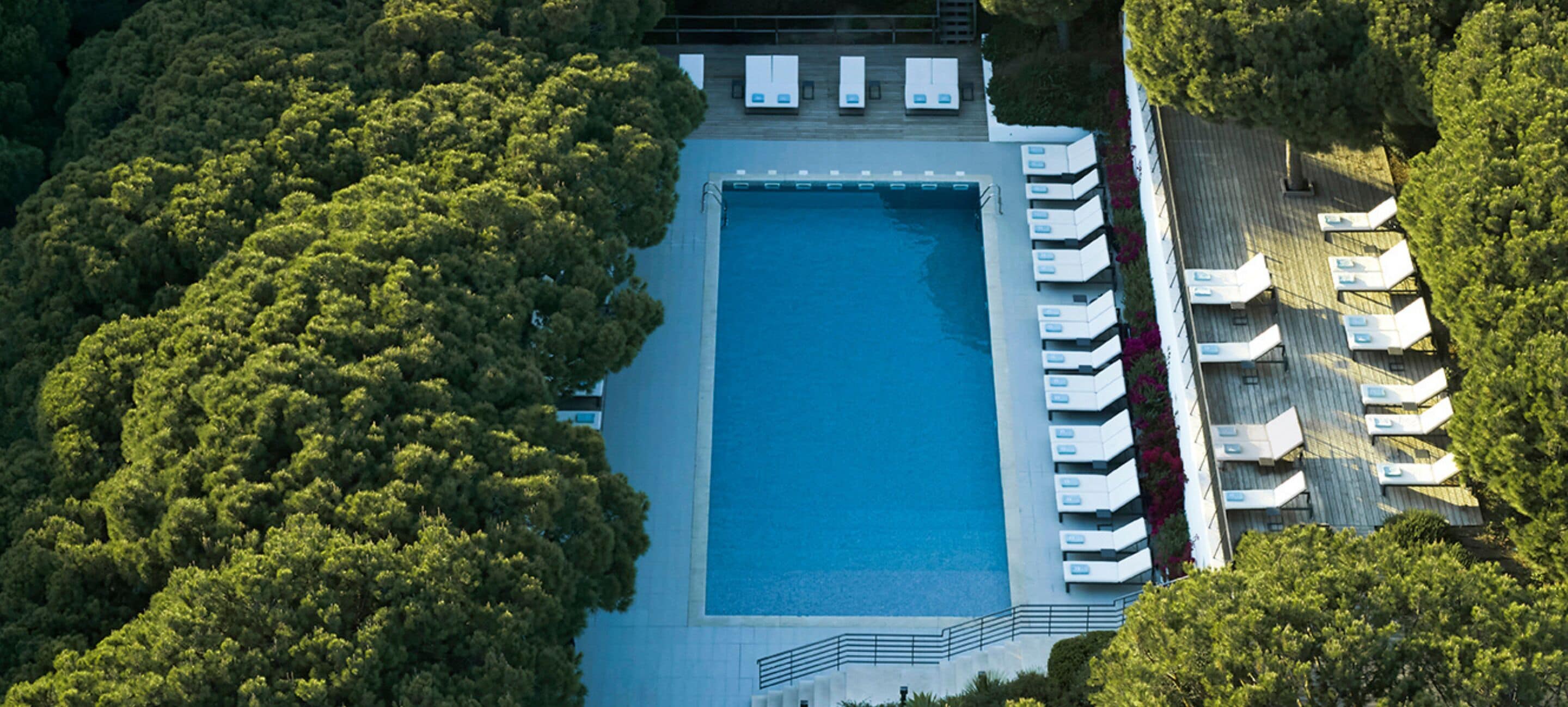 Eine Vogelperspektive zeigt einen rechteckigen Pool, umgeben von üppiger Vegetation, mit mehreren Liegestühlen und einer Treppe, die zum Pool führt.