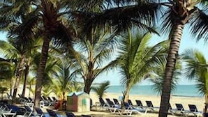 Ein Strand mit Liegestühlen und Palmen.