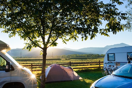 ๋๋ญ์ค ์ํํธ | ์ฐ ์ ๋ง