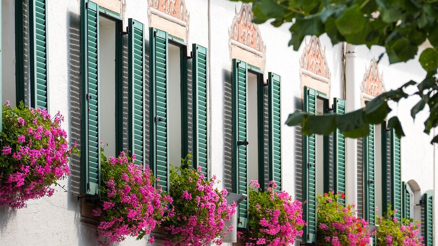 ダスオーグット