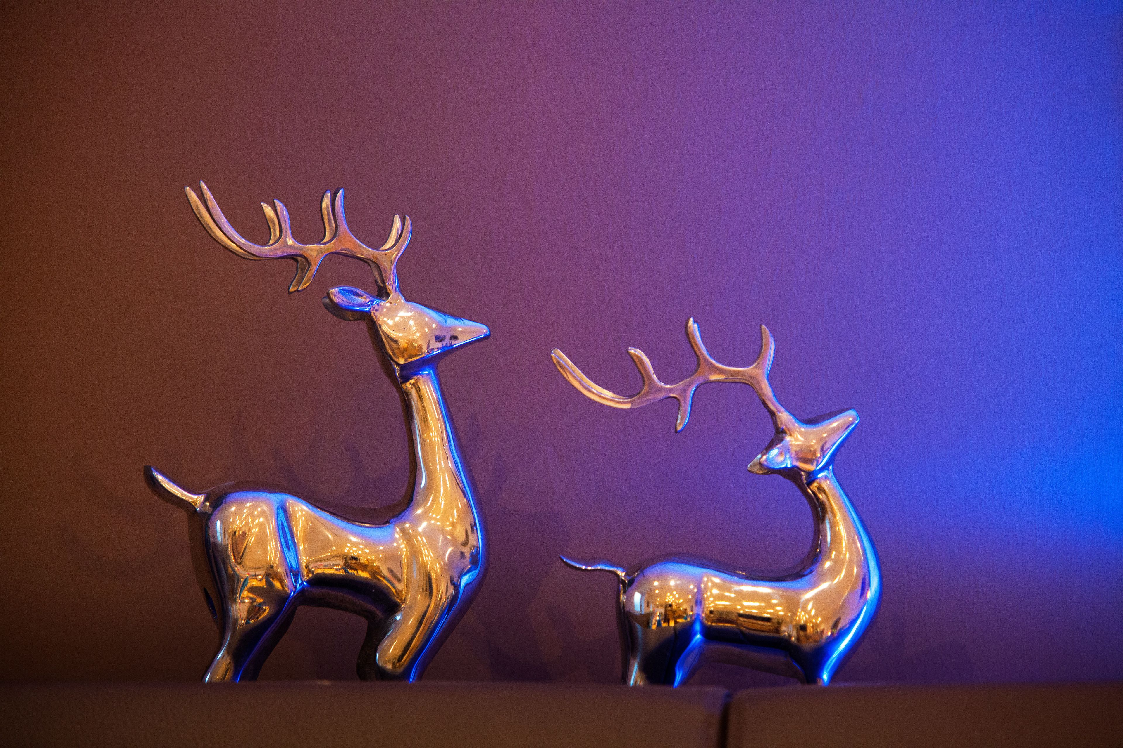 Foto - Hotel Apartment Das Au- Gut