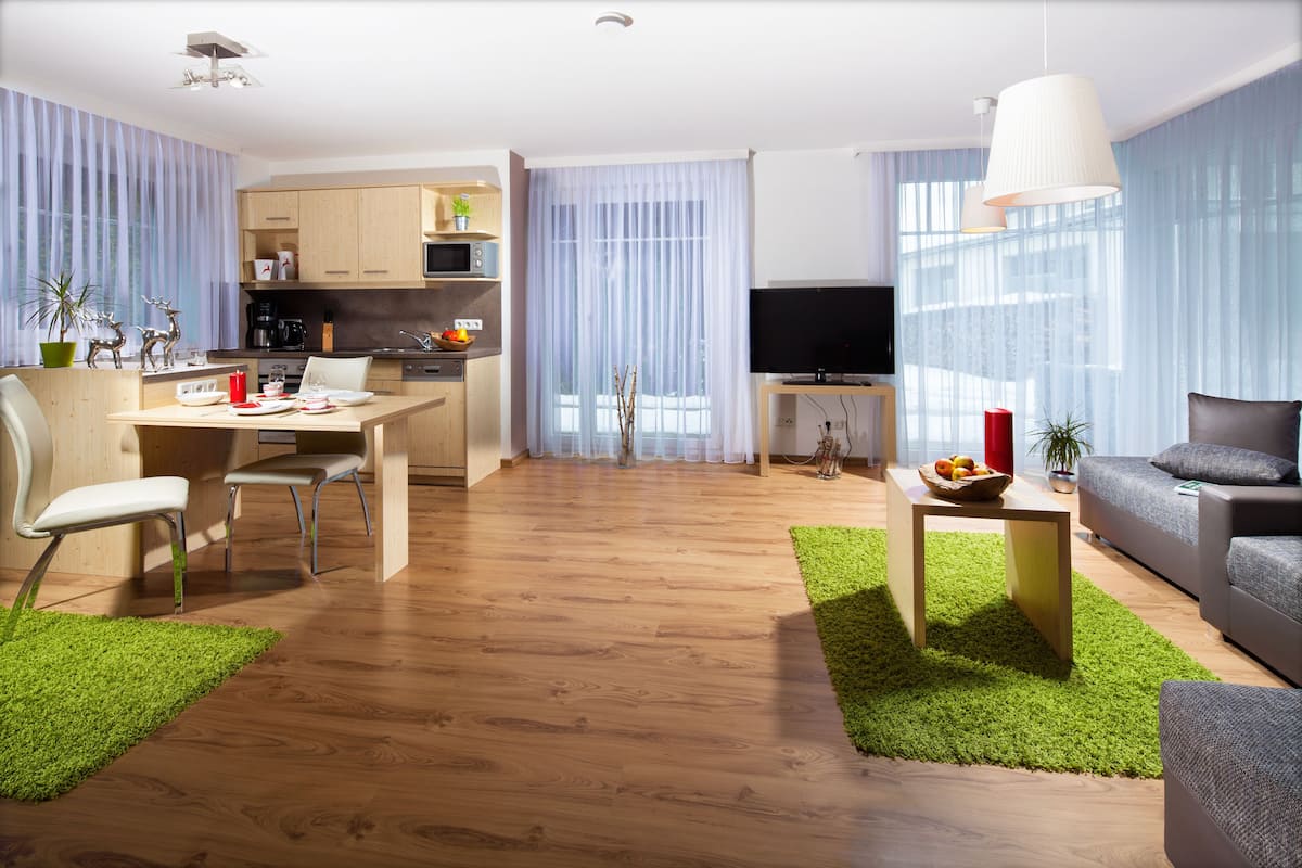 Apartamento Business, 1 habitación | Zona de estar | Una televisión de pantalla plana