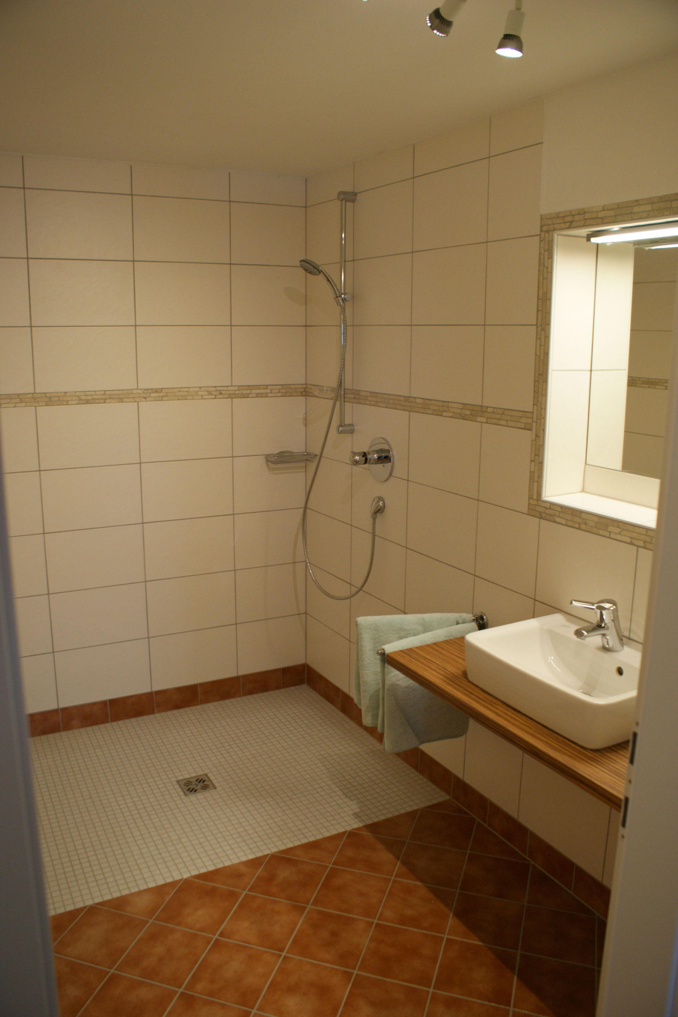 Une salle de bain avec une douche, un lavabo et un miroir.