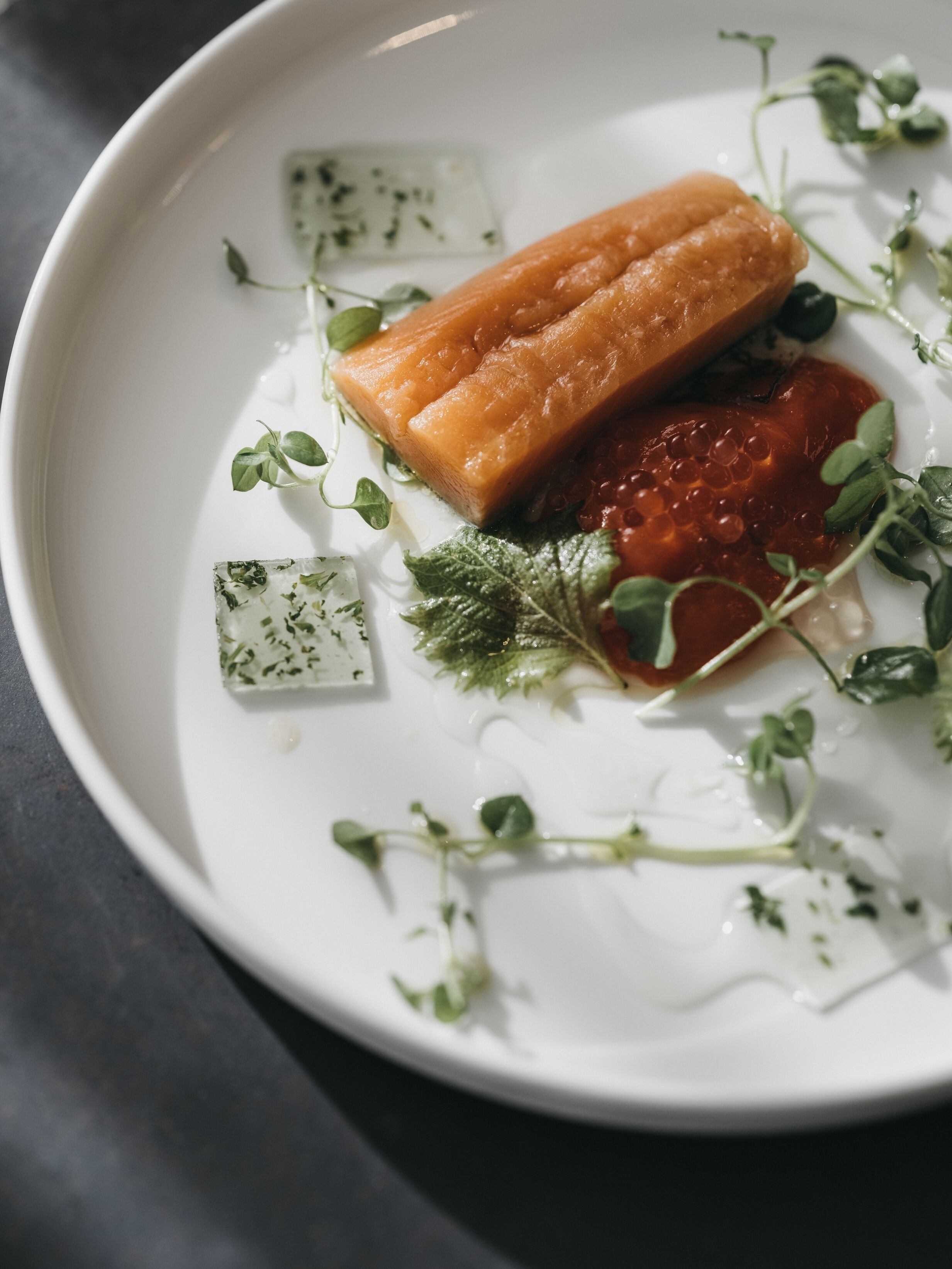 Un plato blanco con un trozo de salmón, una porción de salsa roja y un adorno verde.