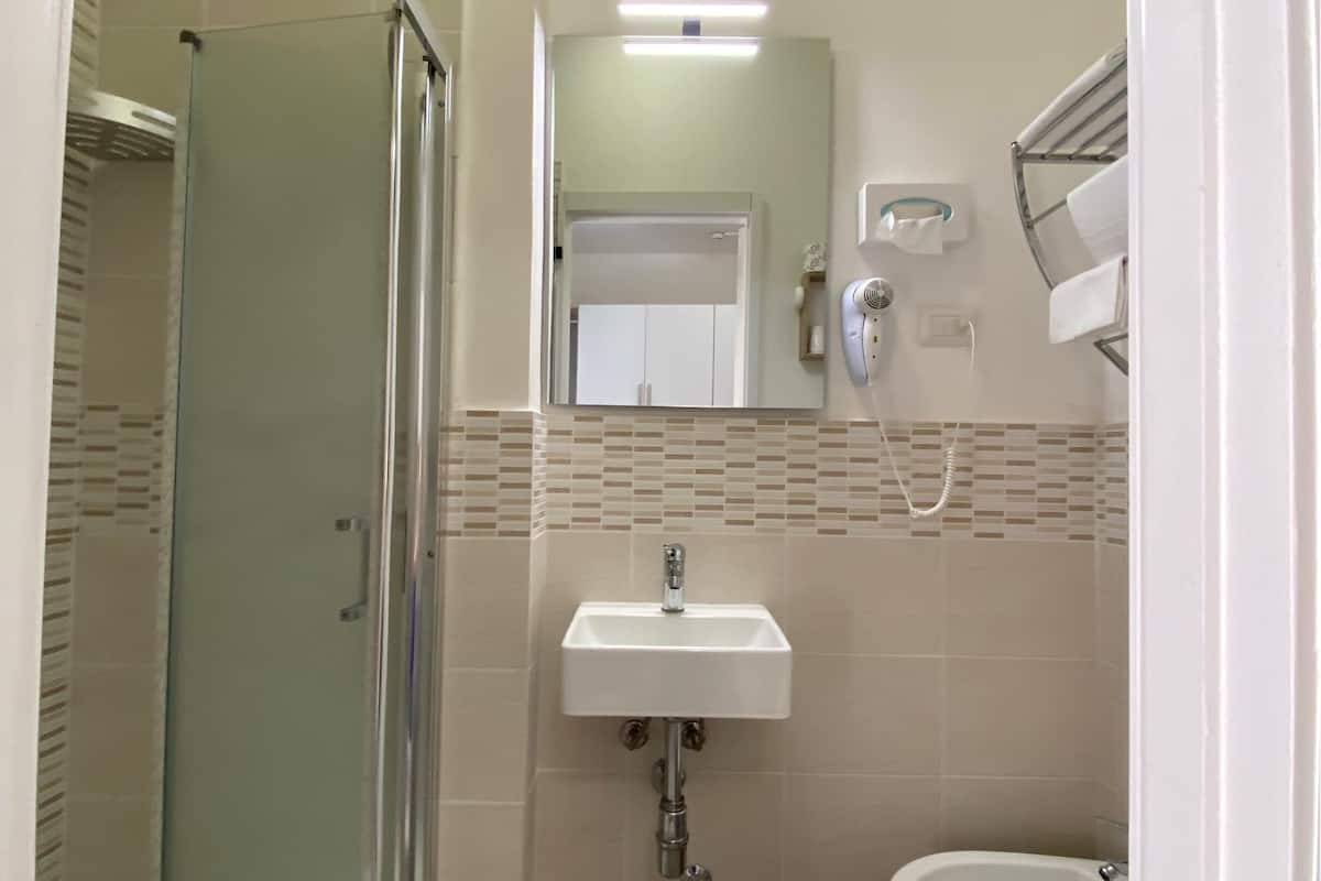 economy double room | bathroom | shower, free toiletries, hair dryer, bidet