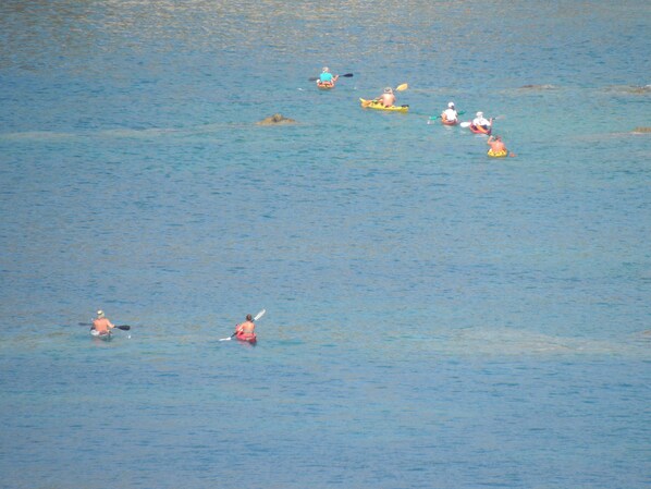 A group of people kayaking on a calm body of water. - Monna Lisa (Marciana)