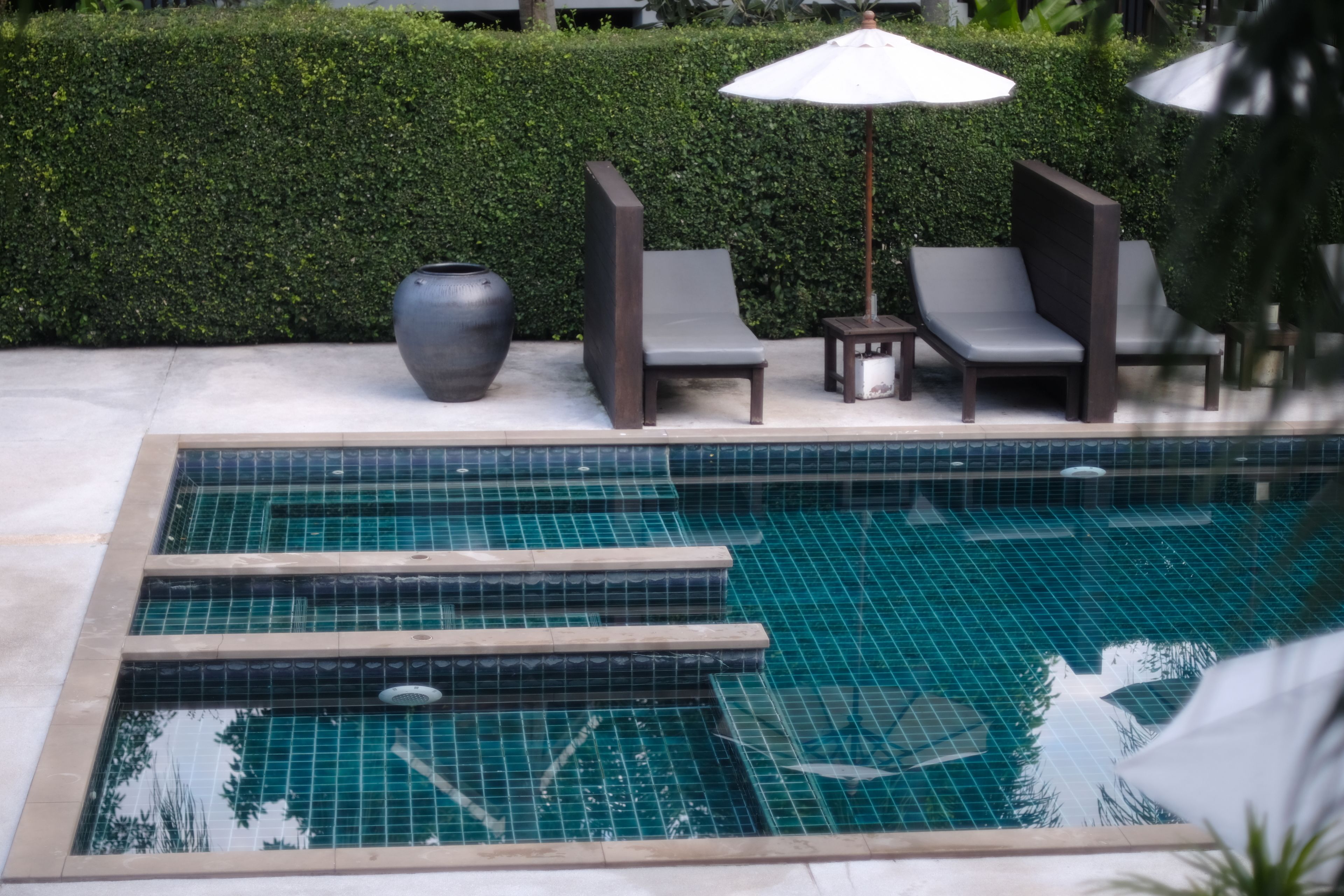 A swimming pool with tiled steps, lounge chairs, a potted plant, and a hedge in the background.