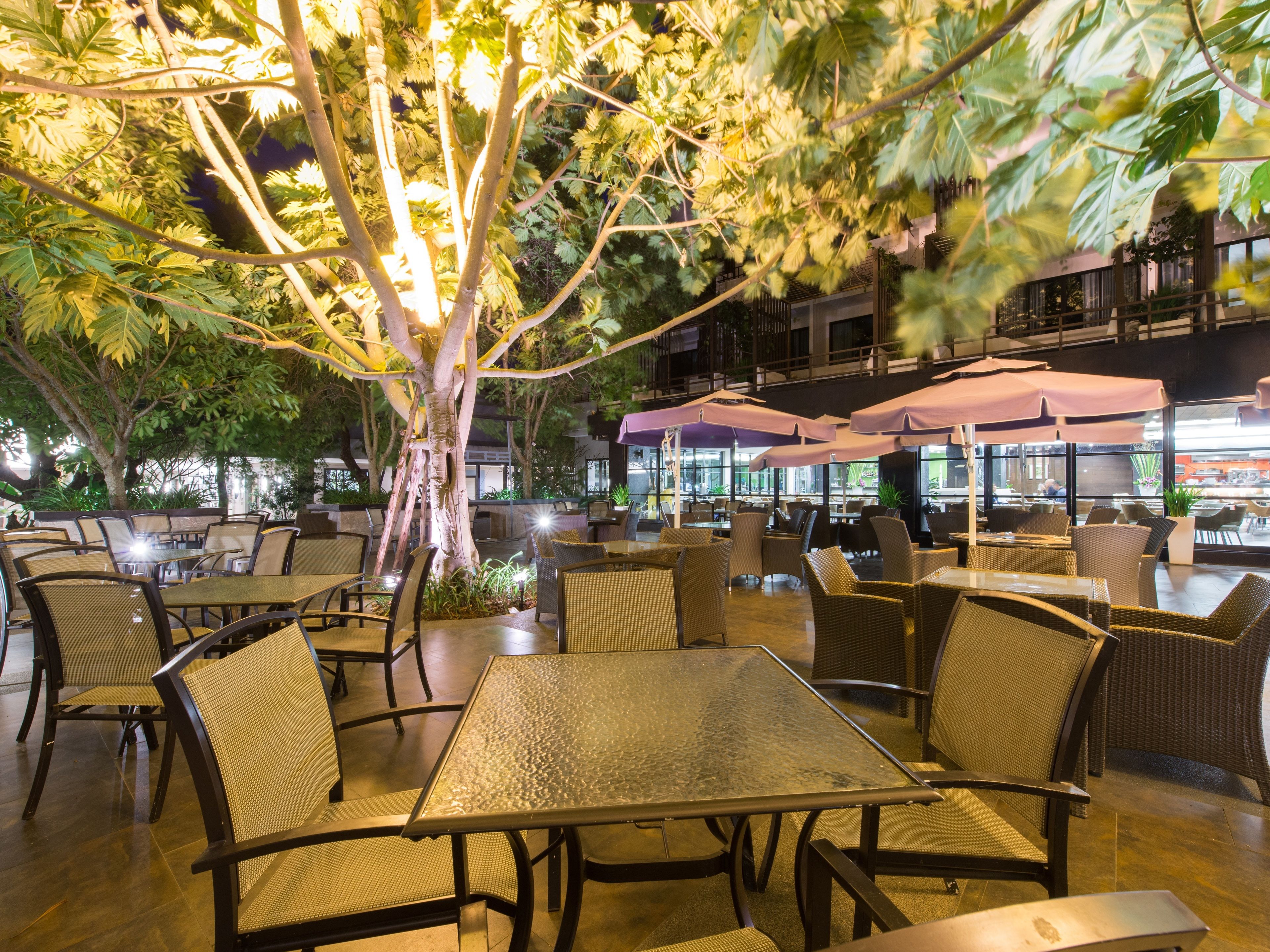 Lunsj, middag og brunsj serveres, thailandske retter 