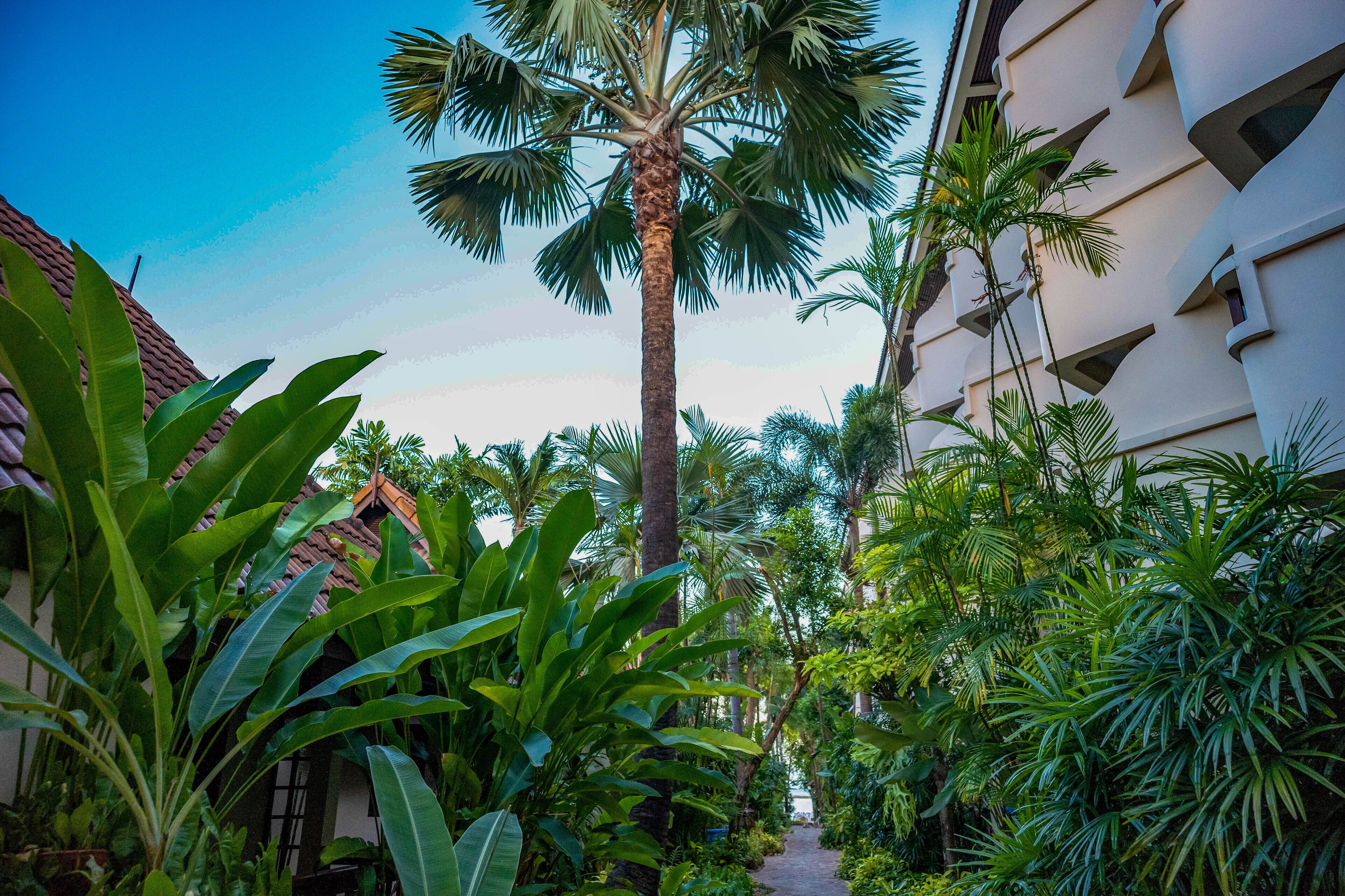 Photo - Samui Natien Resort