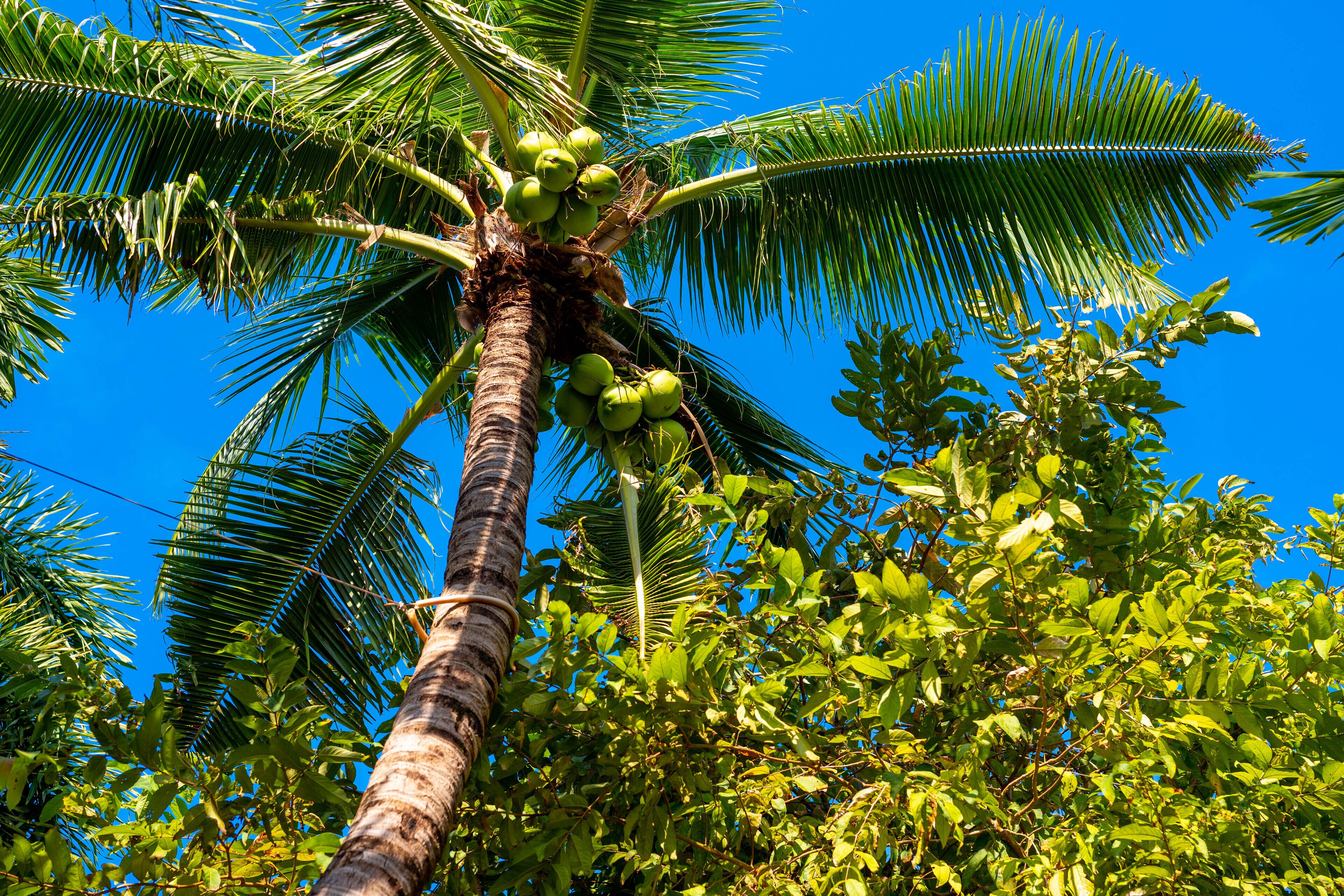 Photo - Samui Natien Resort