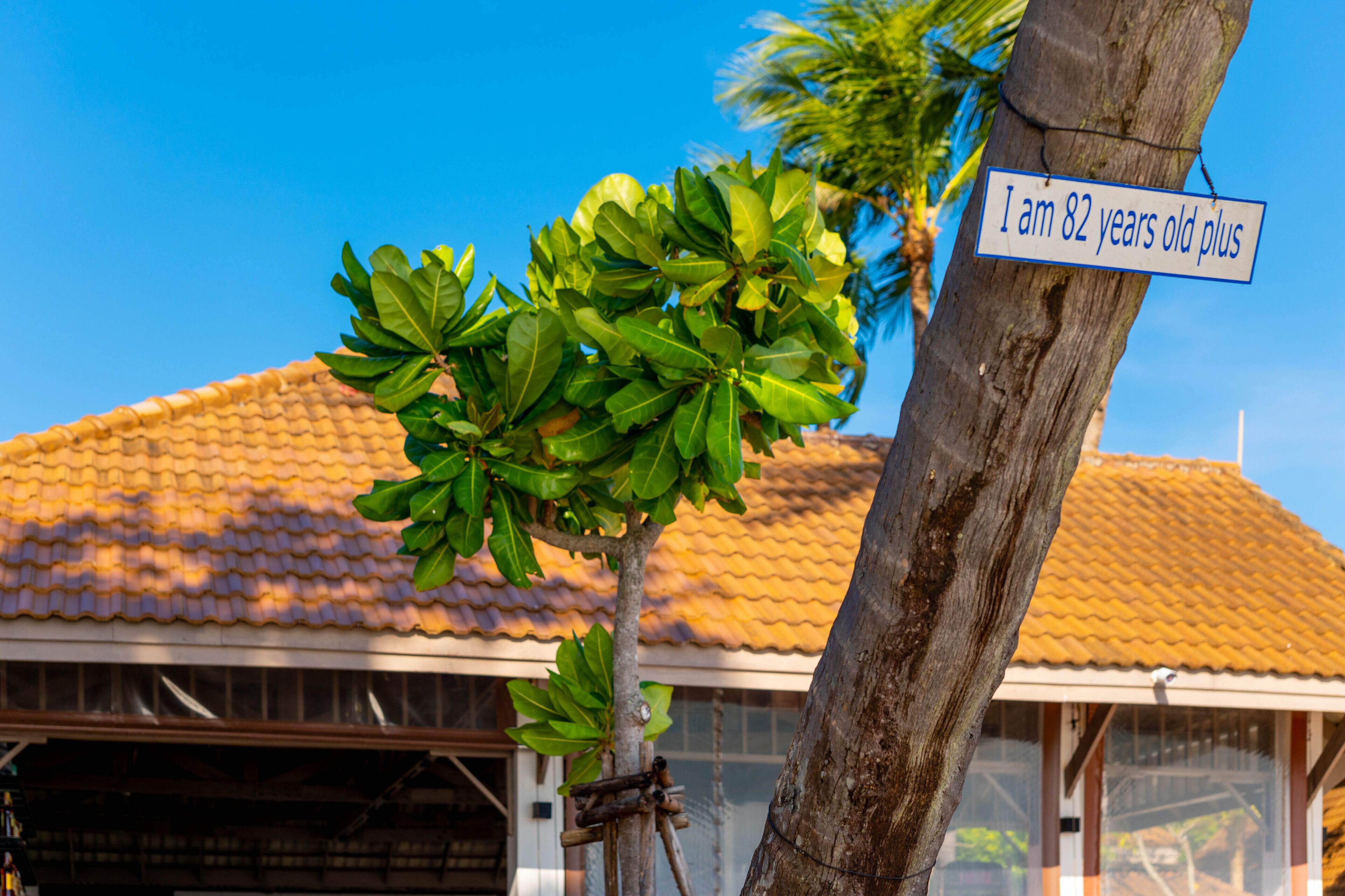 Photo - Samui Natien Resort