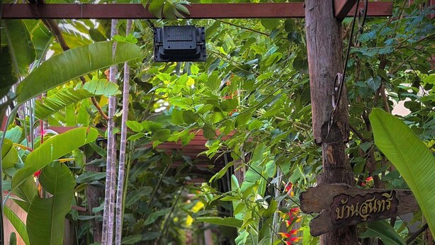 A narrow pathway flanked by lush greenery and a wooden signpost. - Shewe Wana Suite Resort (Chiang Mai)