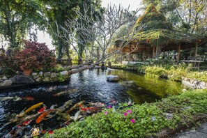Ontbijt, serveert lunch, diner, Thaise gerechten, uitzicht op de tuin