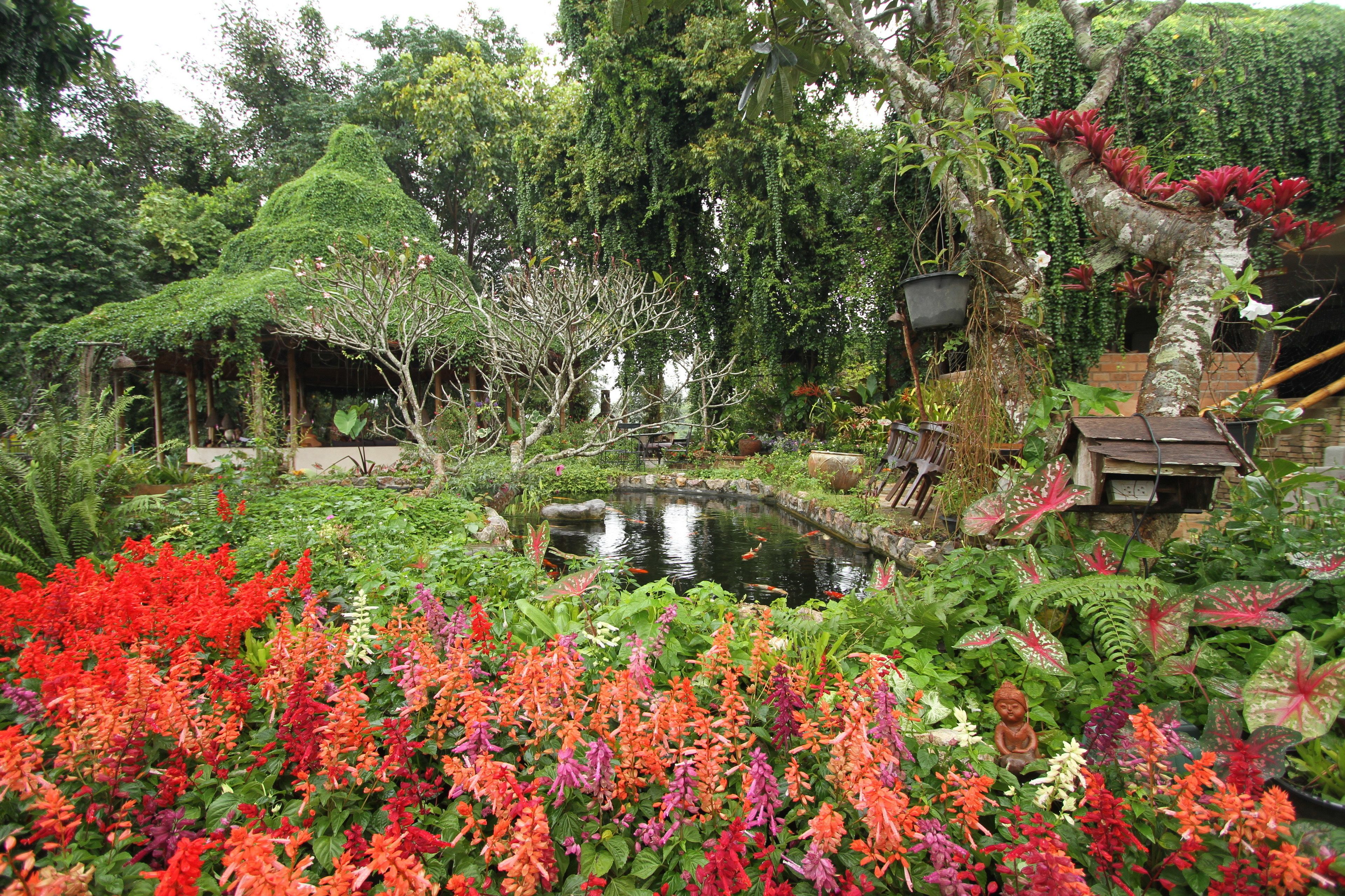 A lush garden with a pond, various plants, and a small Buddha statue.