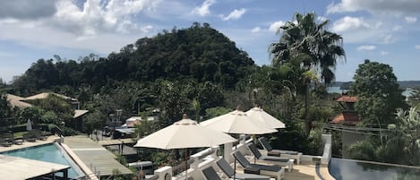 Outdoor pool, pool umbrellas, sun loungers