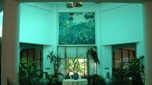 Un espacio interior amplio con techo alto, ventanas grandes y numerosas plantas en macetas.