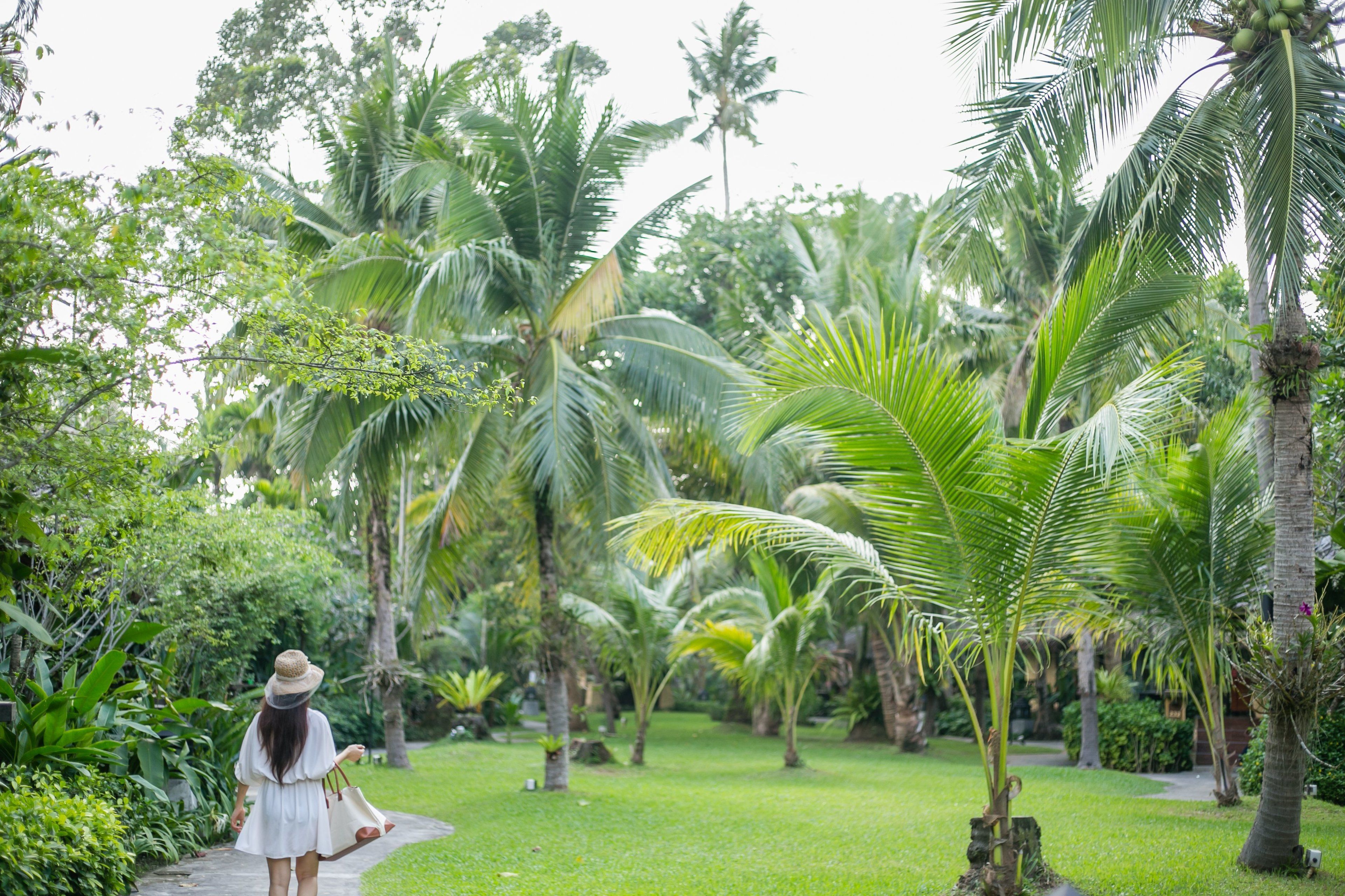 A woman walking on a path surrounded by lush greenery and palm trees.