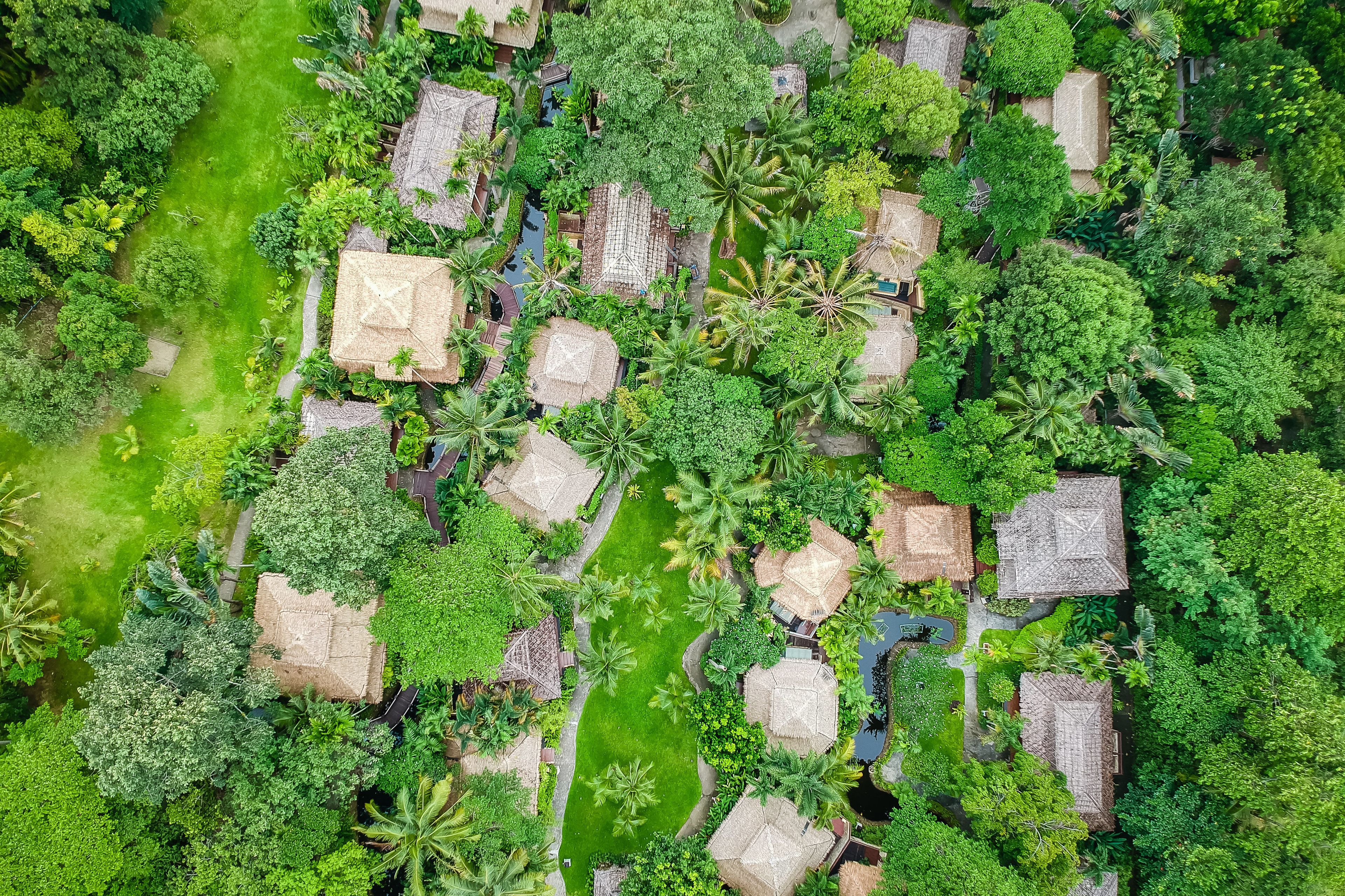 An aerial view of a resort with thatched-roof cottages surrounded by lush greenery and palm trees.