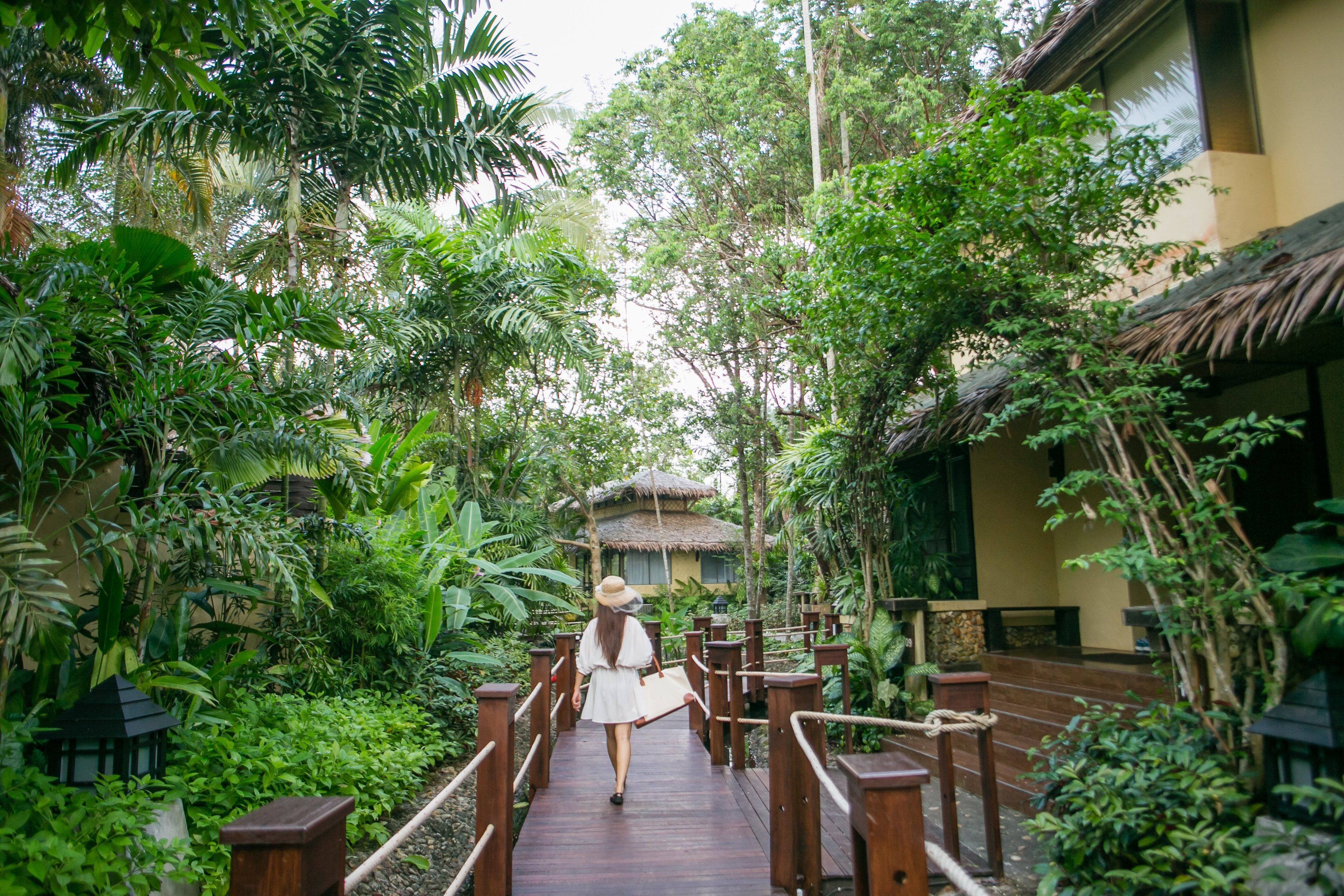 A wooden bridge in a lush garden with a thatched-roof structure in the background.