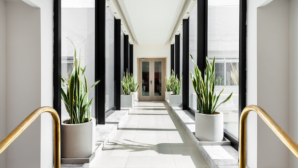 Un pasillo moderno de hotel con piso de mármol, plantas en macetas y una puerta de vidrio al final.