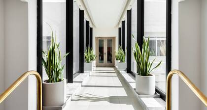 Plaza Regency Hotels