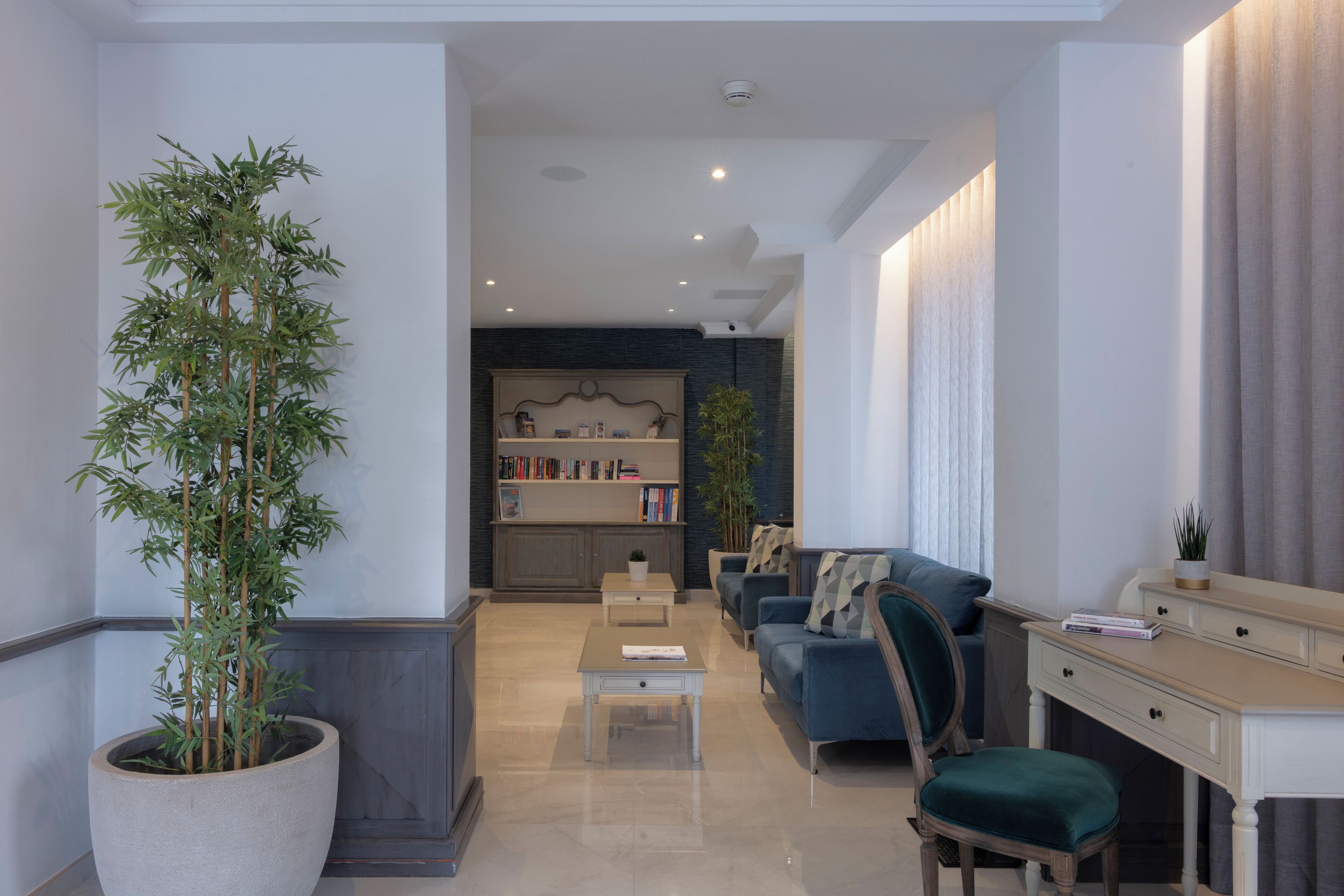 Un salon moderne avec une grande plante en pot, un canapé, une table basse et un bureau.