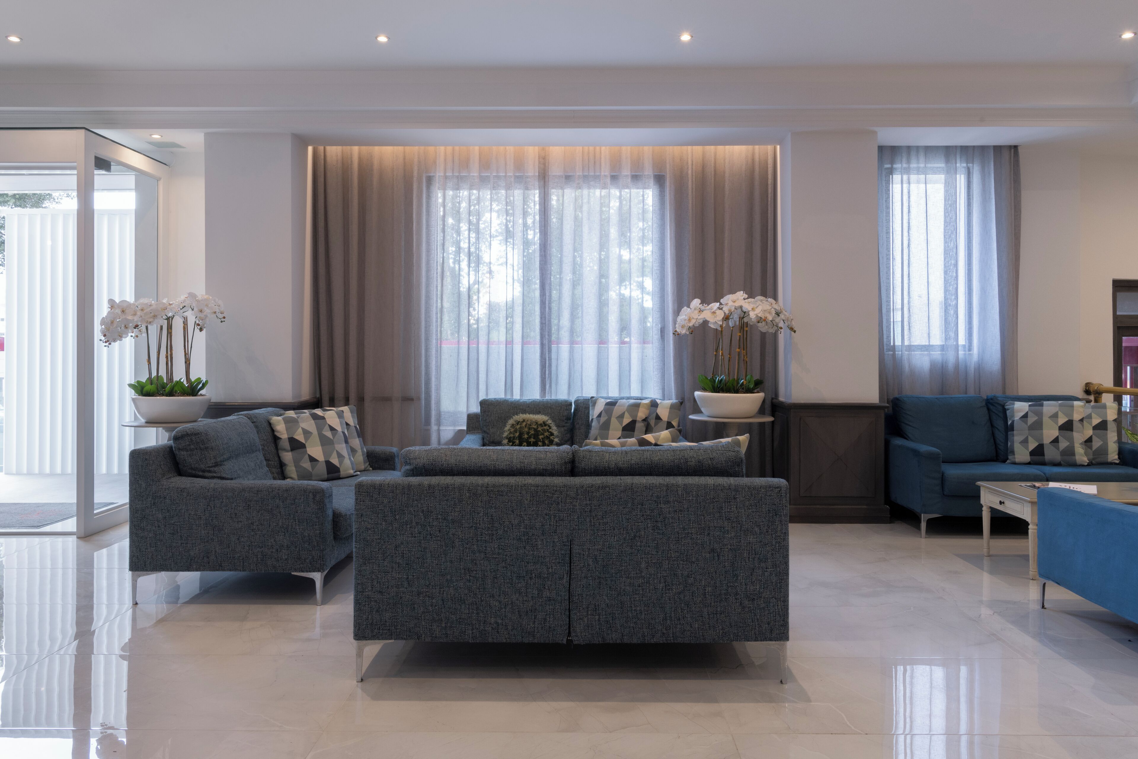 A modern living room with a grey sectional sofa, a blue sofa, and a coffee table. There are two potted plants and a small cactus on the coffee table.