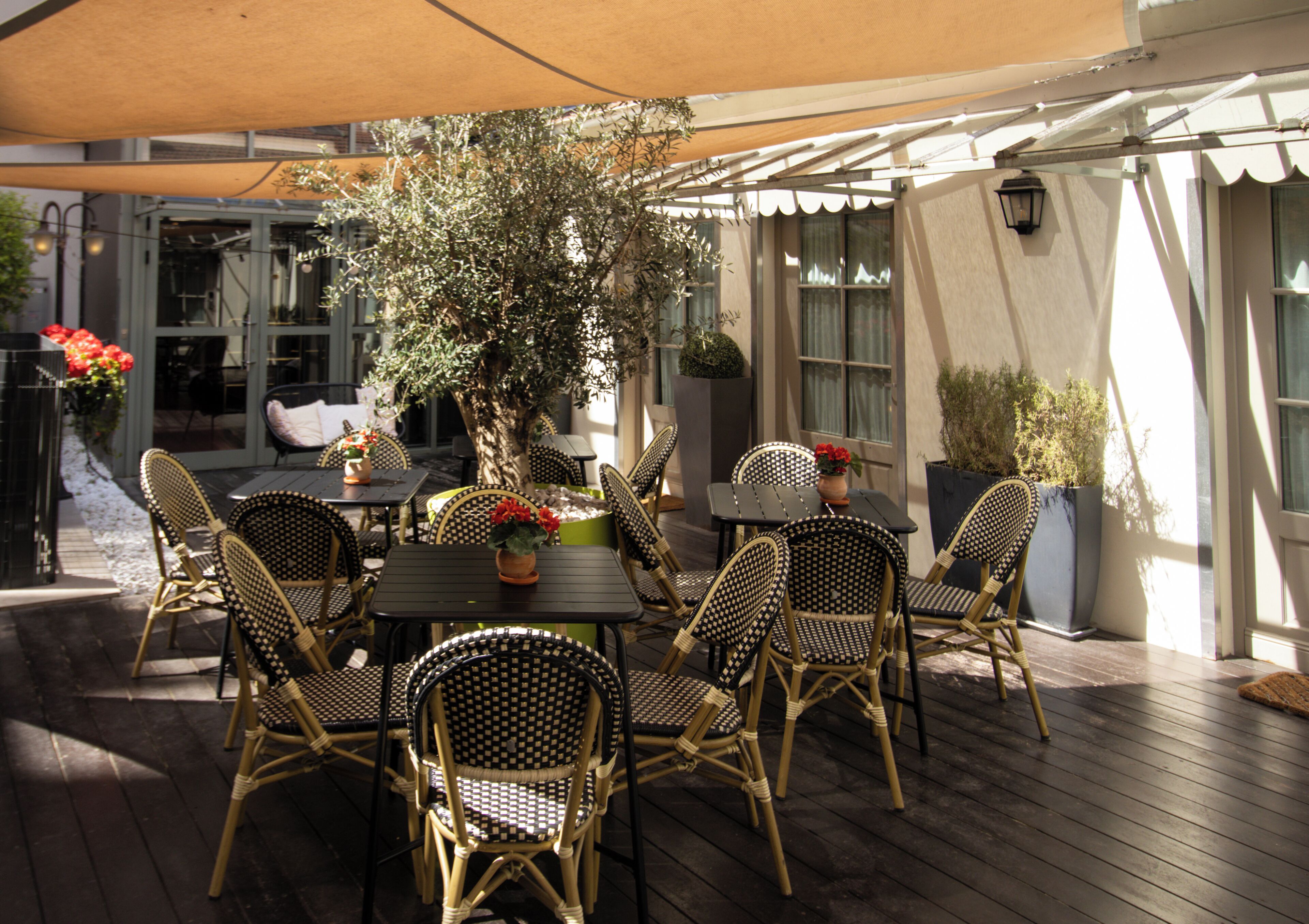 Premium-Doppelzimmer | Terrasse/Patio