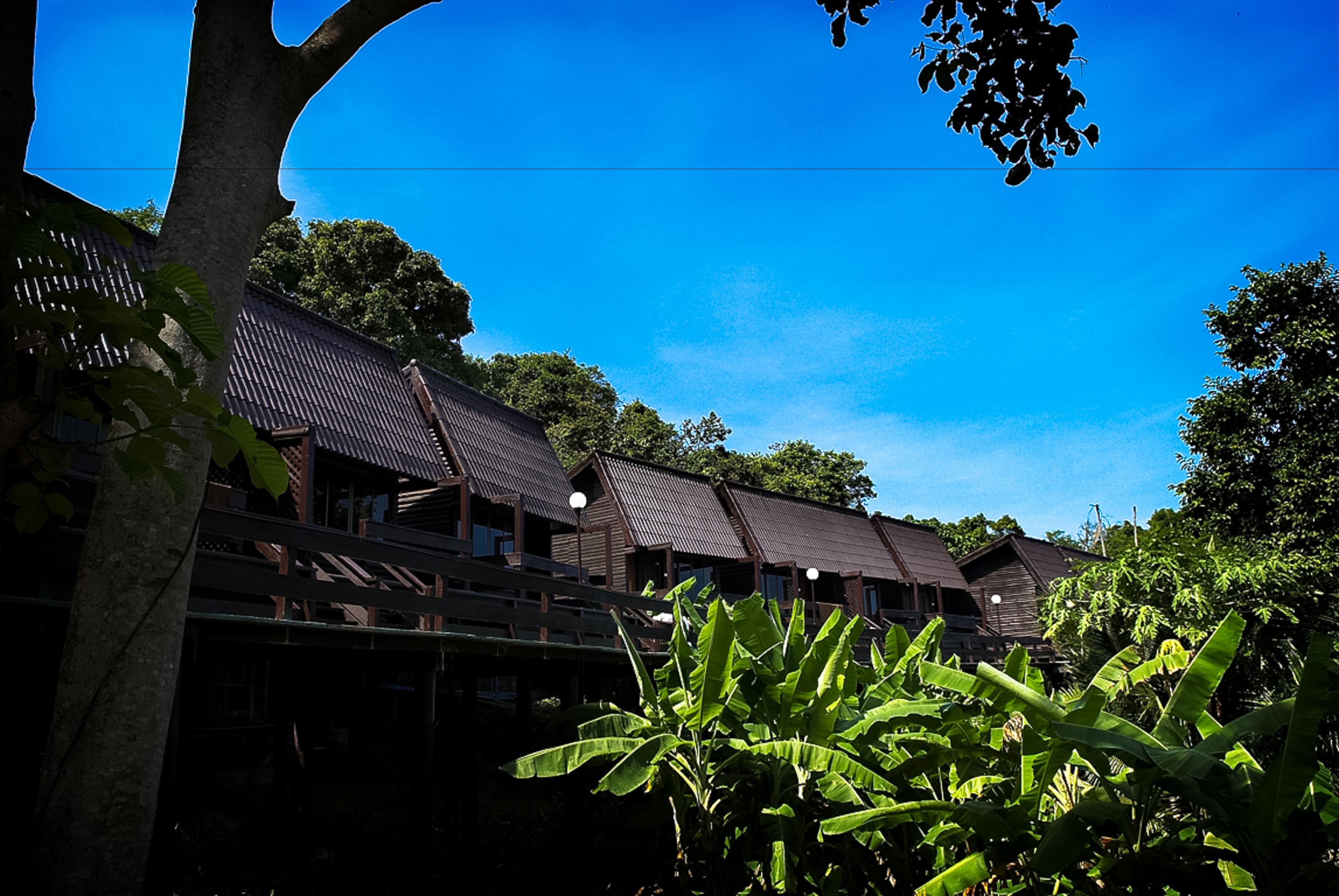 A row of traditional wooden buildings with sloped roofs, surrounded by lush greenery and a clear blue sky.