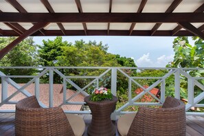 Superior Room | View from room