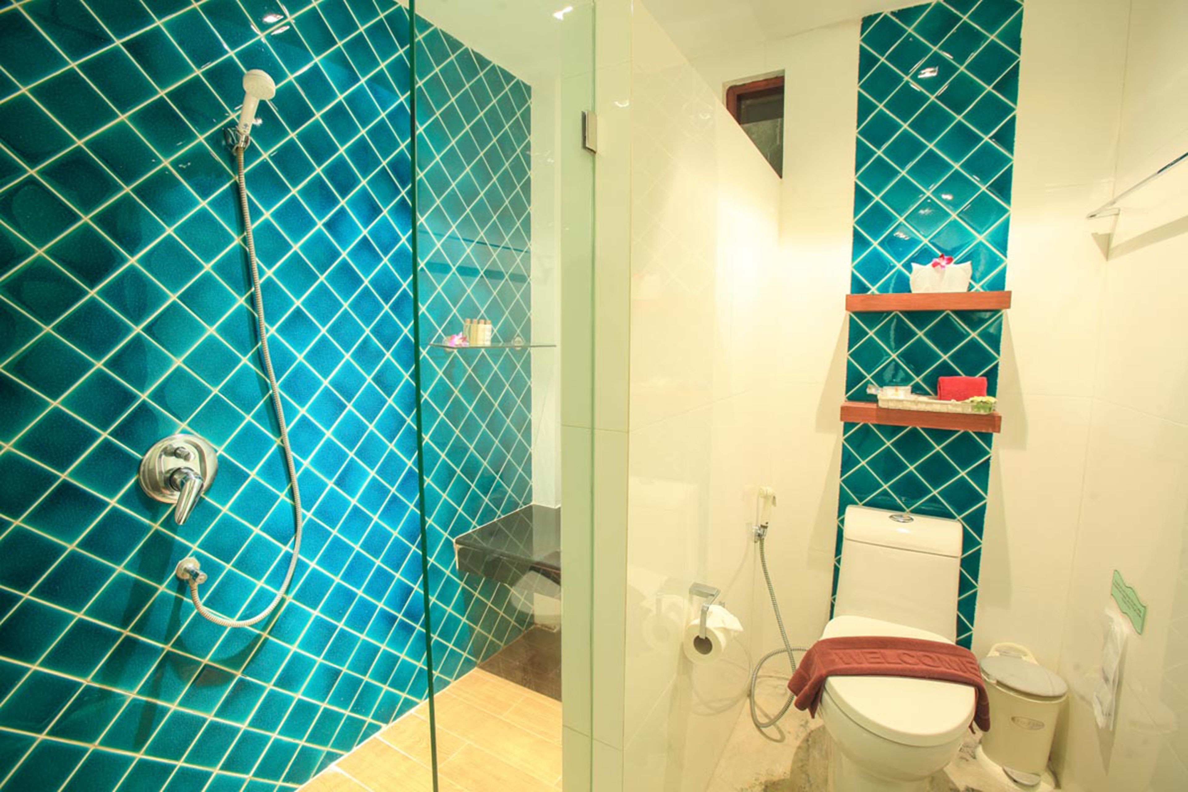 A bathroom with a glass-enclosed shower, a toilet, and a shelf with toiletries.