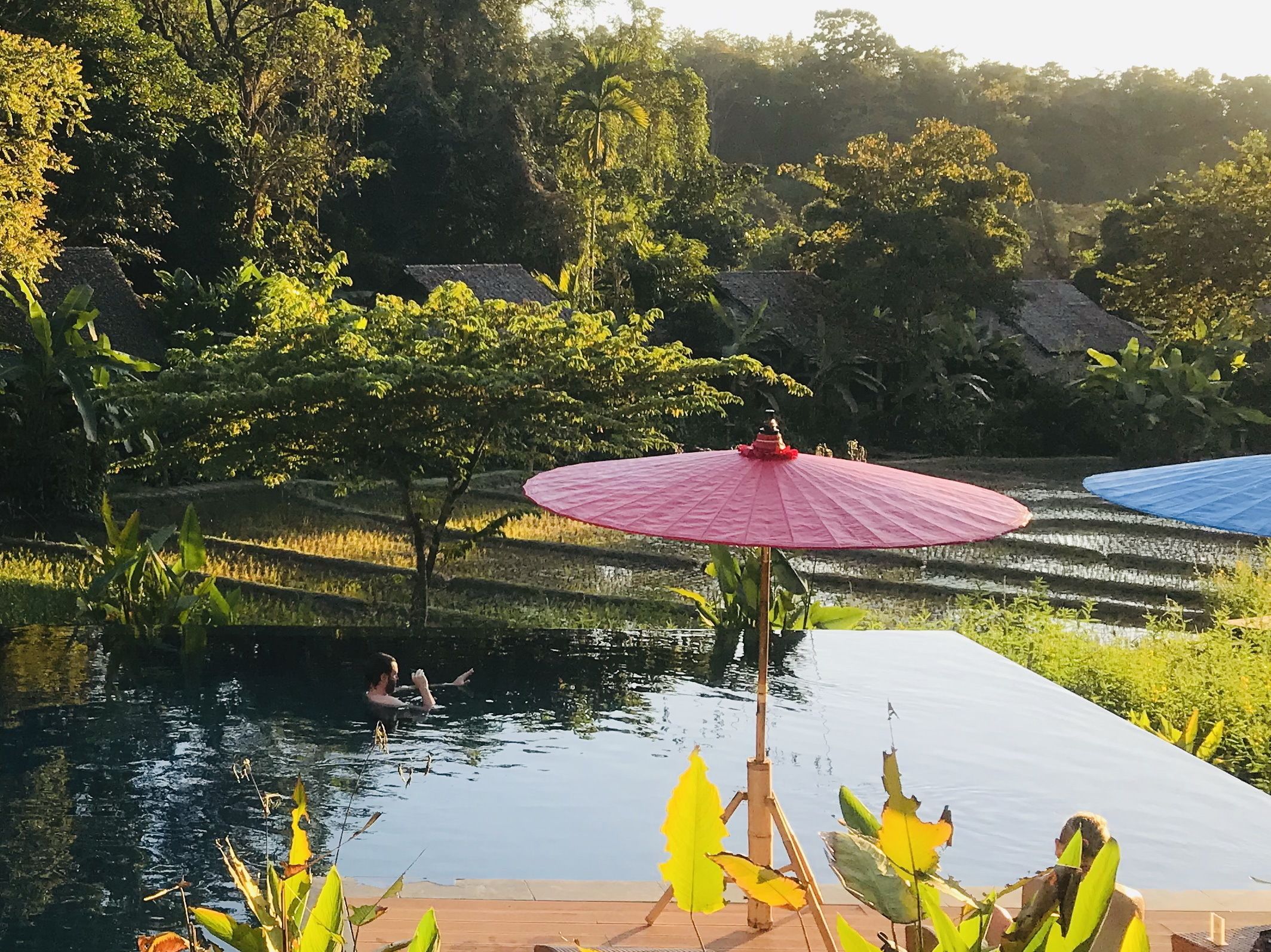 A serene outdoor pool area with a person swimming, surrounded by lush greenery and terraced fields.