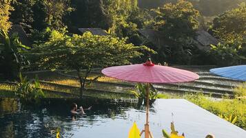 A serene outdoor pool area with a person swimming, surrounded by lush greenery and terraced fields.
