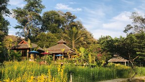 A pathway leading to traditional-style huts surrounded by lush greenery and yellow flowers. - Fern Resort (Mae Hong Son)