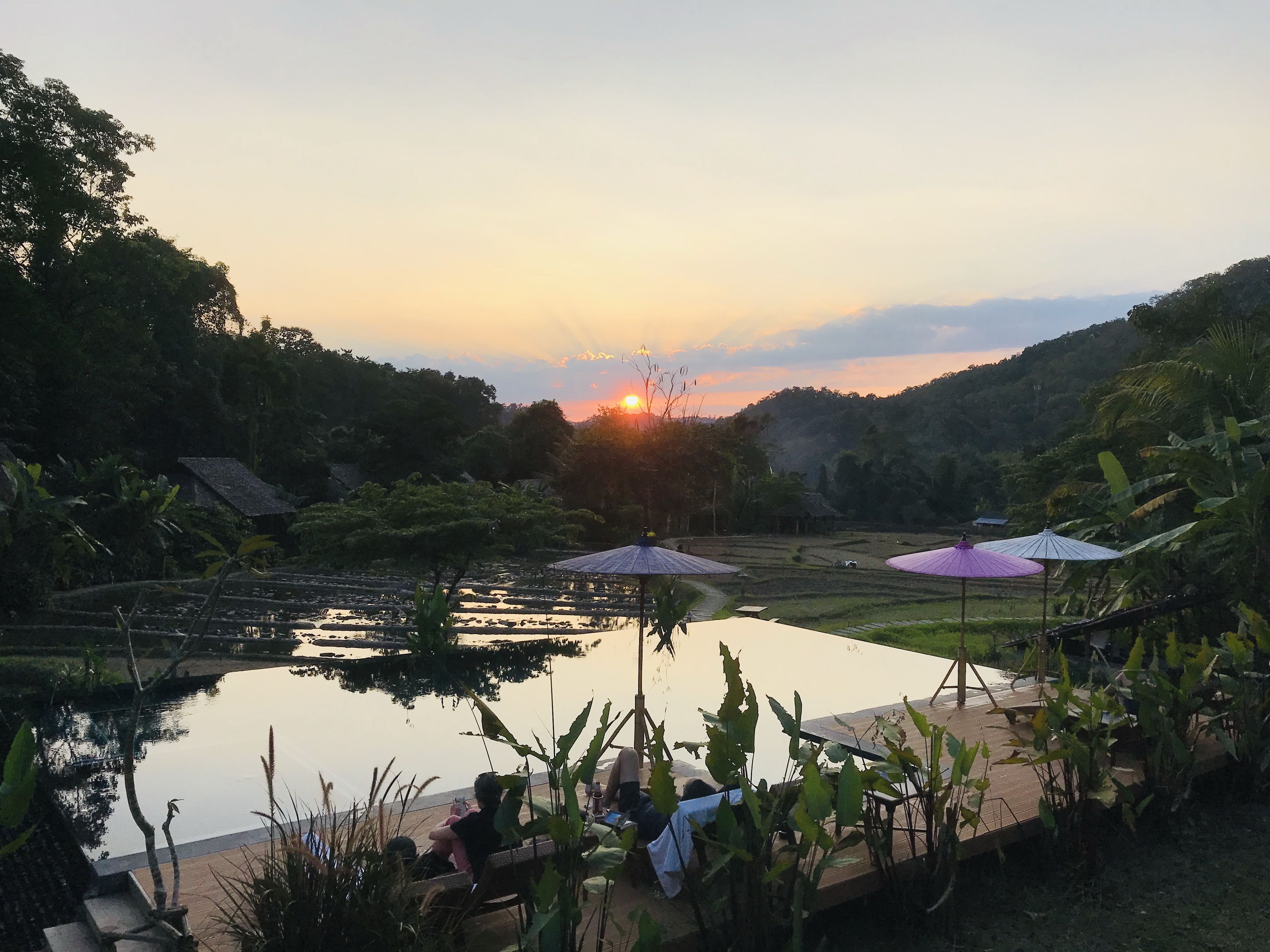 Un entorno tranquilo al aire libre con un estanque, rodeado de exuberante vegetación y una puesta de sol al fondo.