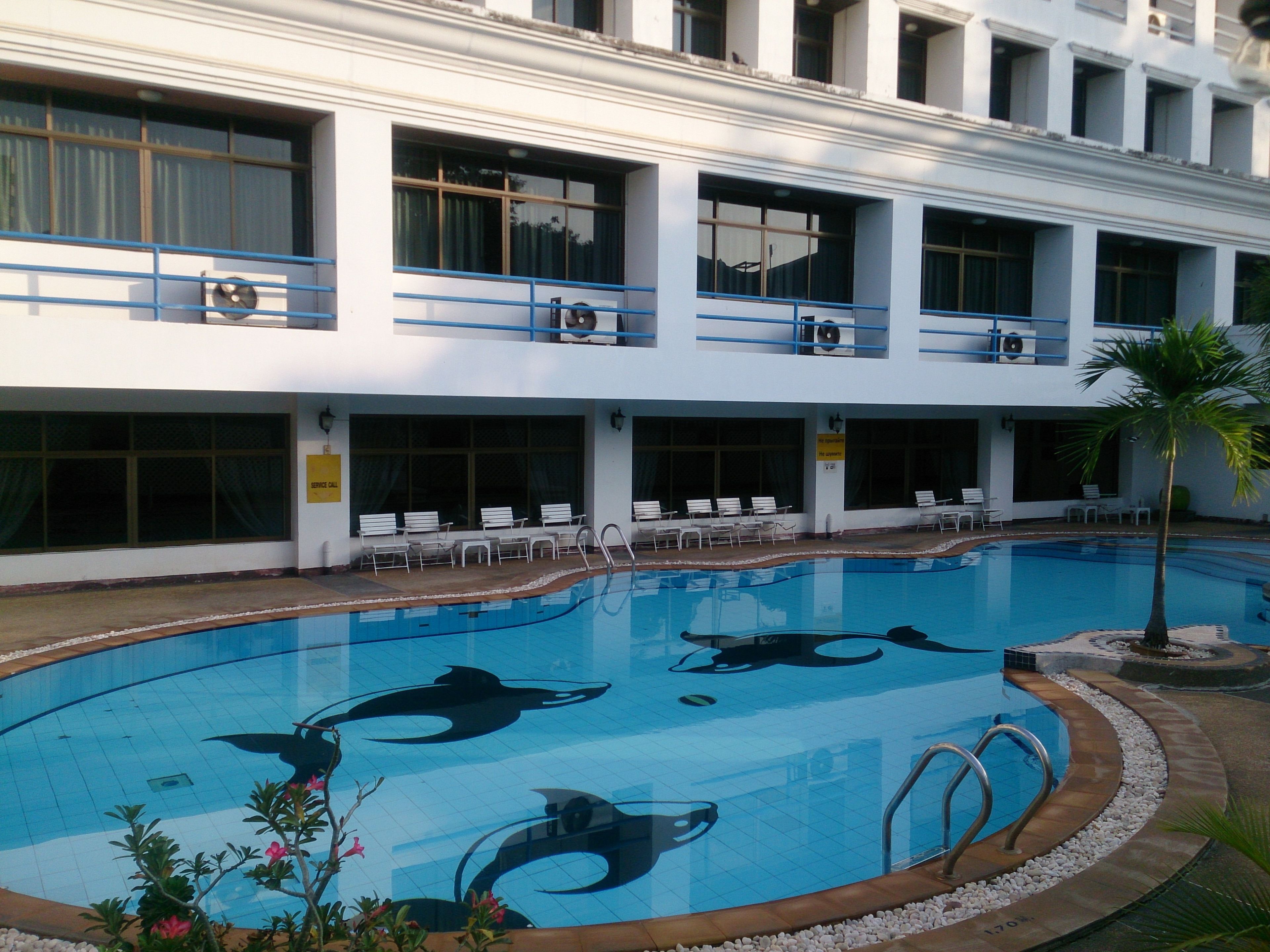 A swimming pool with dolphin murals, a sun deck with chairs, and a building with multiple balconies.