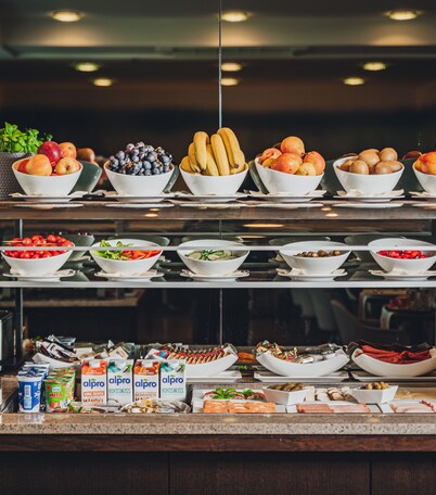 HEINhotel vienna airport
