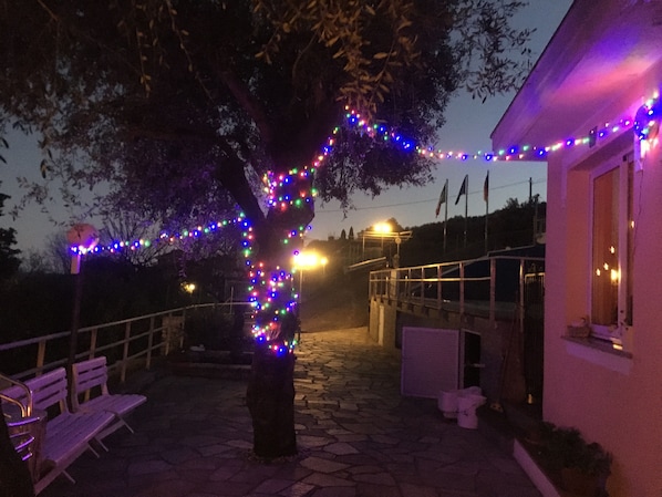 A stone-paved outdoor area with benches, a tree decorated with colorful lights, and a building with flags.