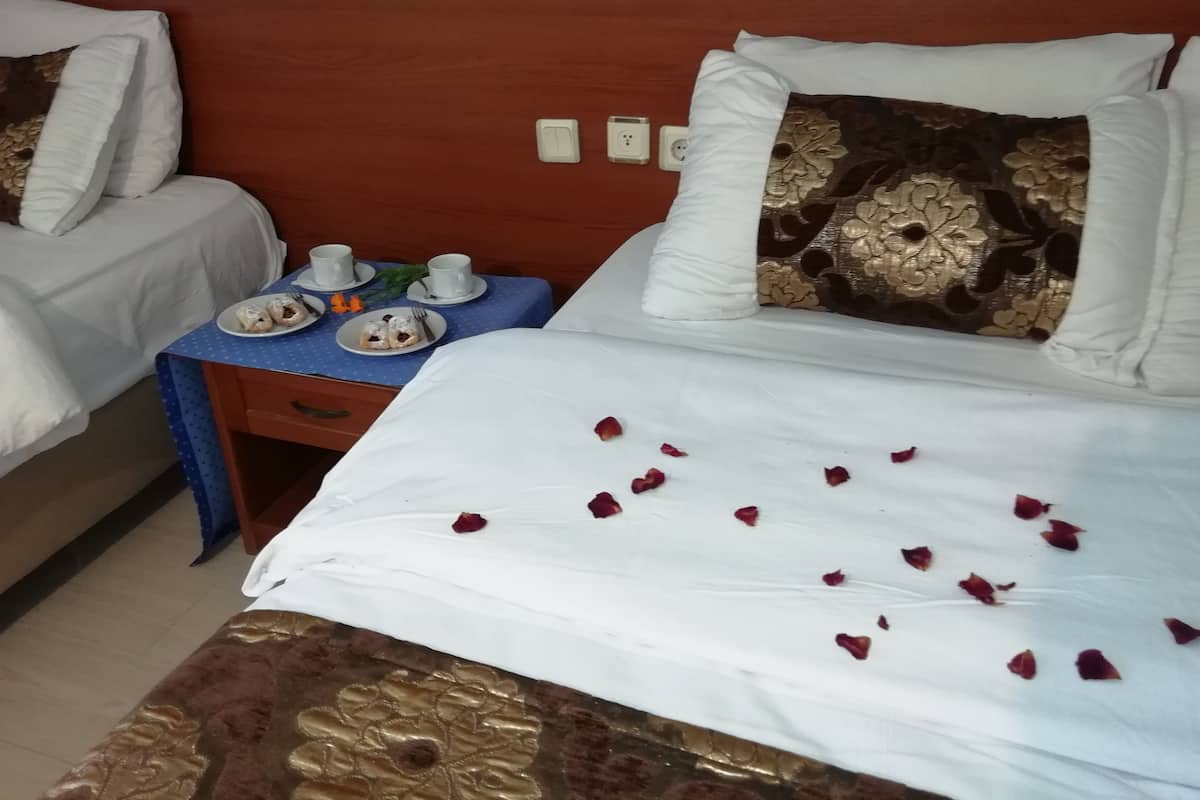 Economy Double Room, 1 Queen Bed, Non Smoking, Garden View | Room amenity