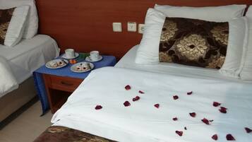 Economy Double Room, 1 Queen Bed, Non Smoking, Garden View | Room amenity