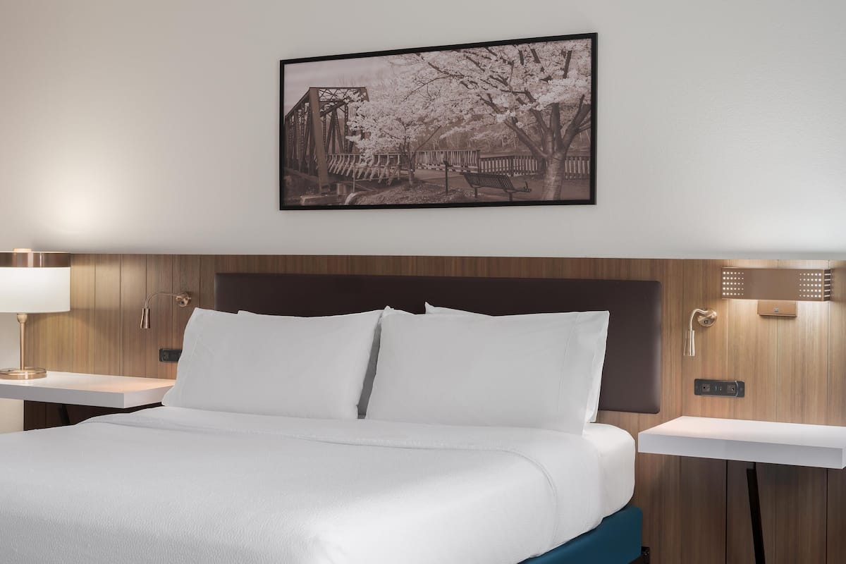 Room, 1 King Bed (Evolution) | Blackout drapes, iron/ironing board, free cribs/infant beds, free WiFi