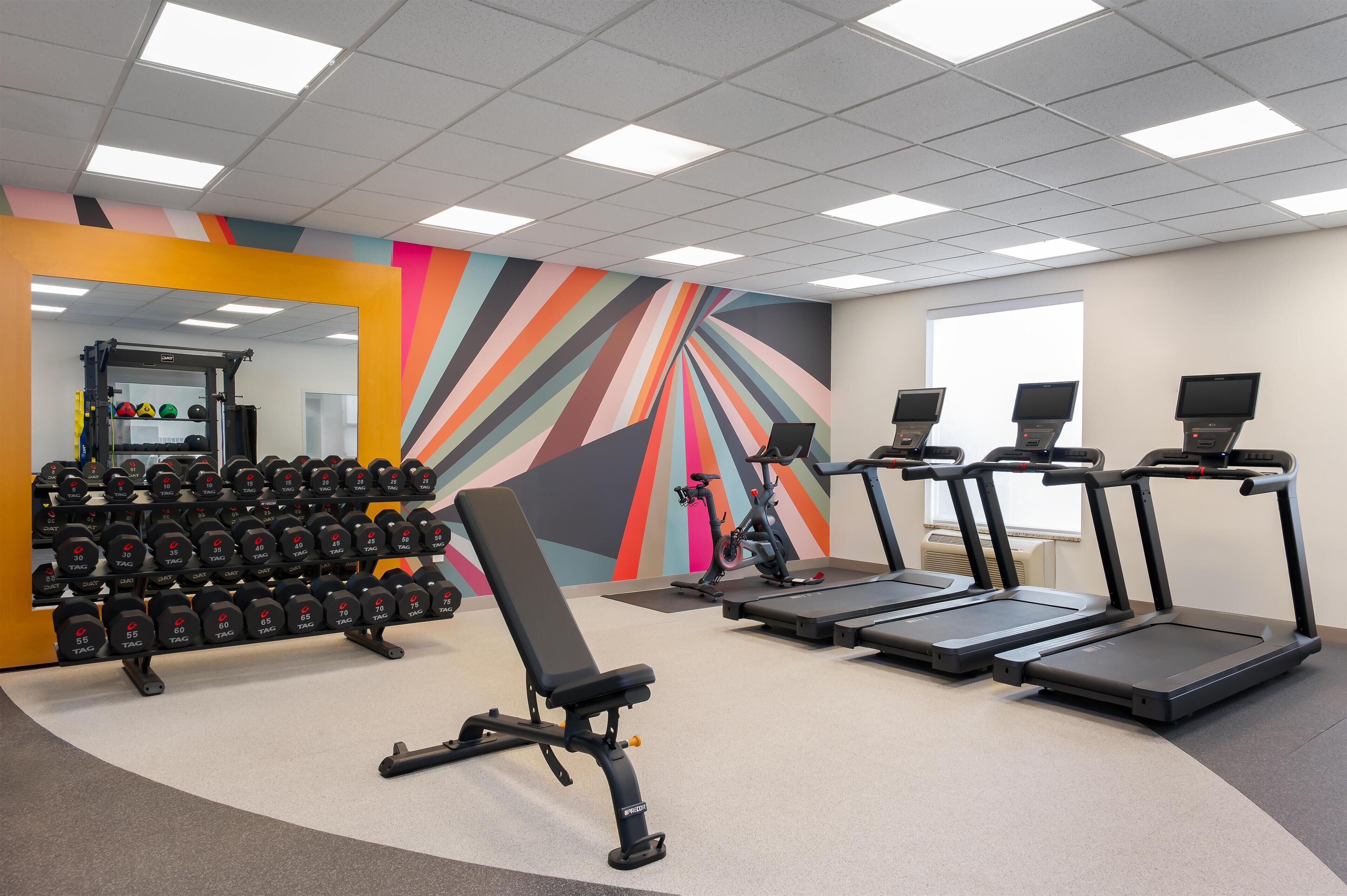 Una palestra con tapis roulant, una panca e un espositore per manubri.