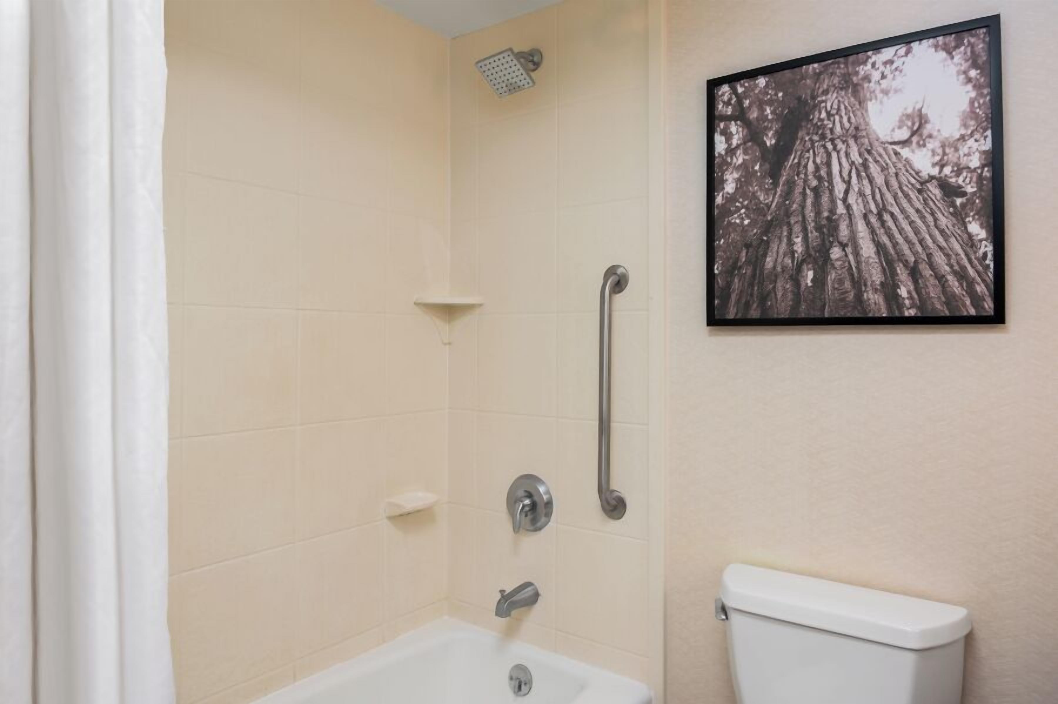 A bathroom with a bathtub, a toilet, a shower with a handheld showerhead, and a framed picture on the wall.