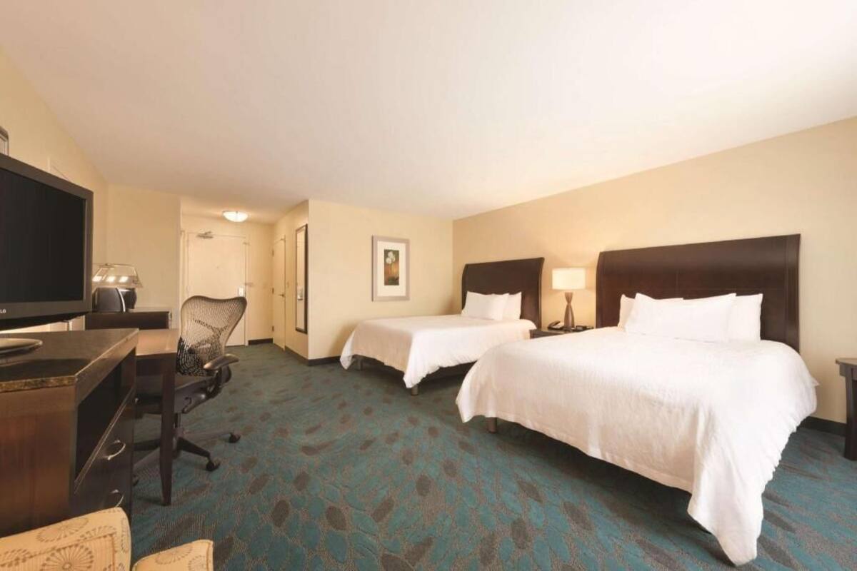 A hotel room with two beds, a desk with a television, a chair, and a carpeted floor.