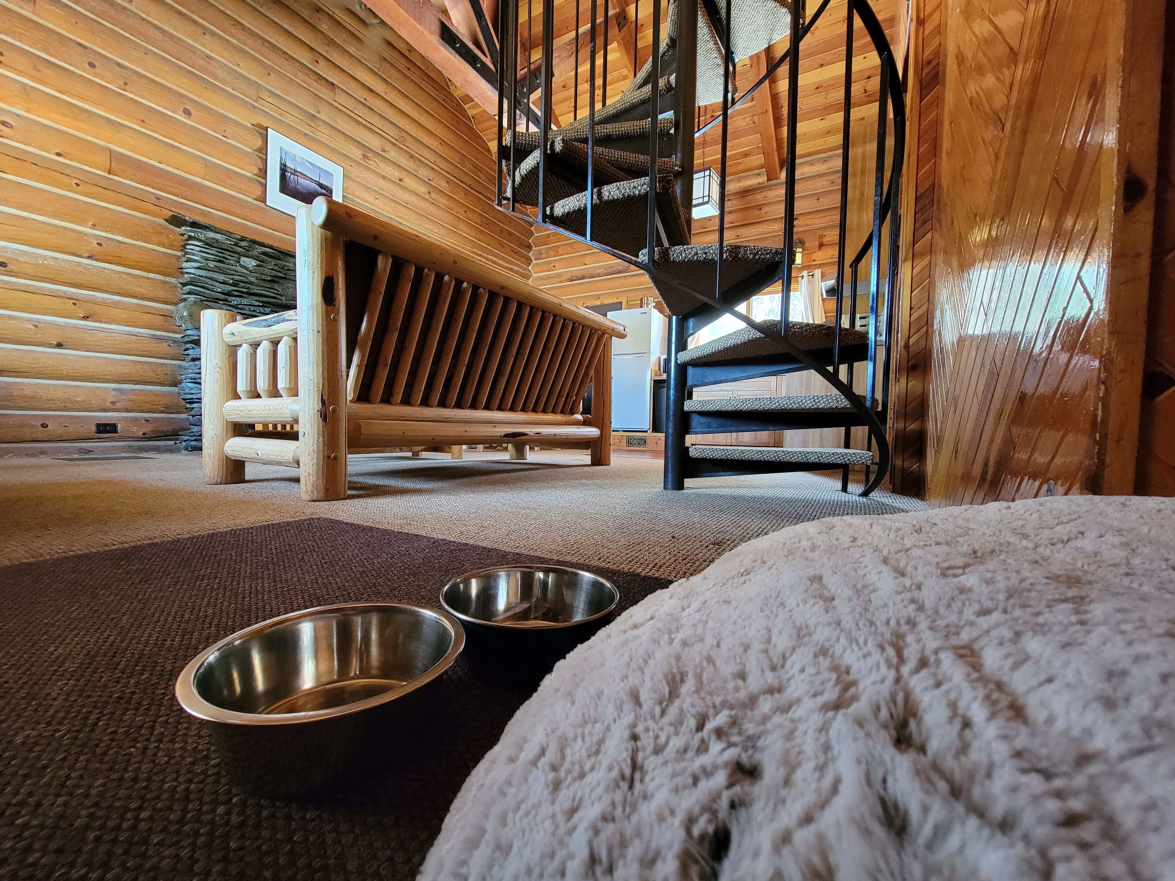 pet-friendly amenities