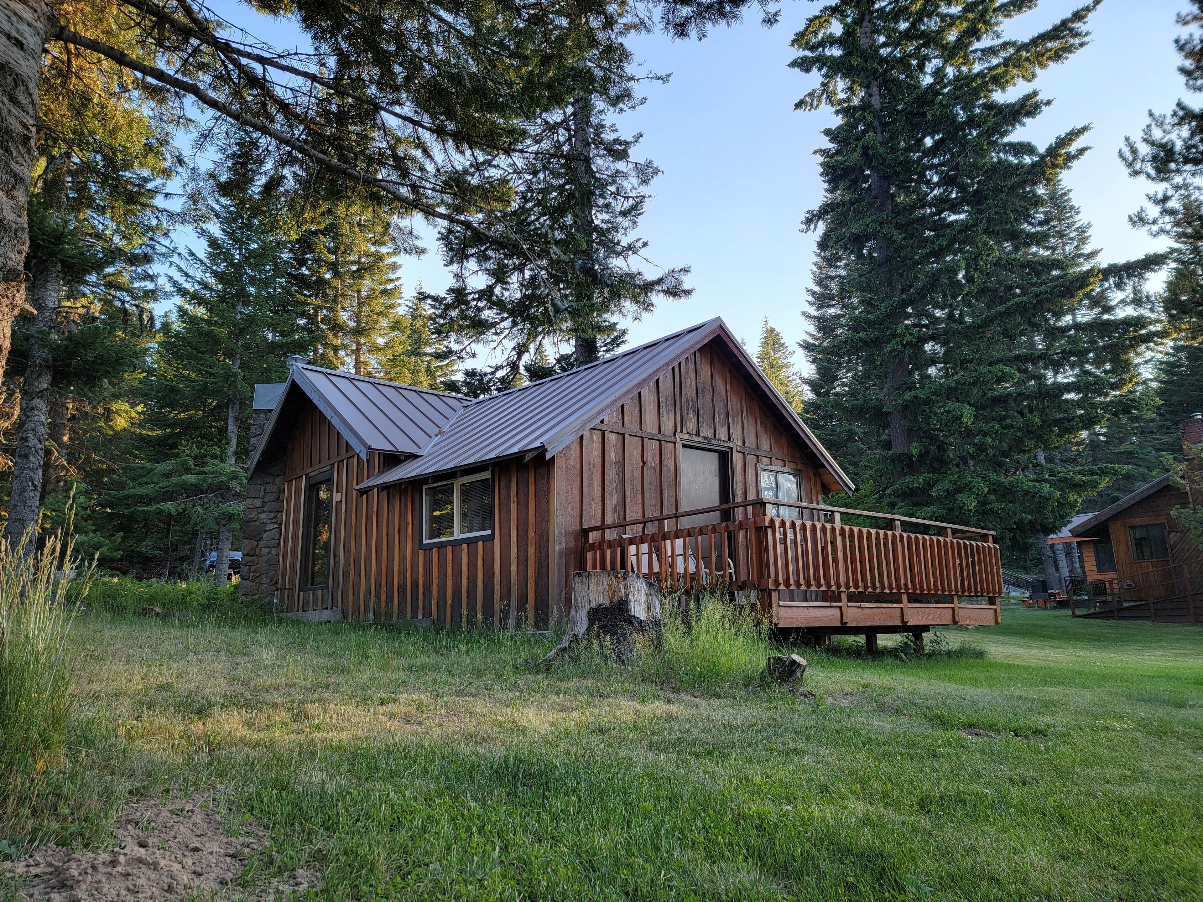 A rustic cabin with a metal roof, wooden deck, and a stone foundation, surrounded by tall trees and a grassy yard.
